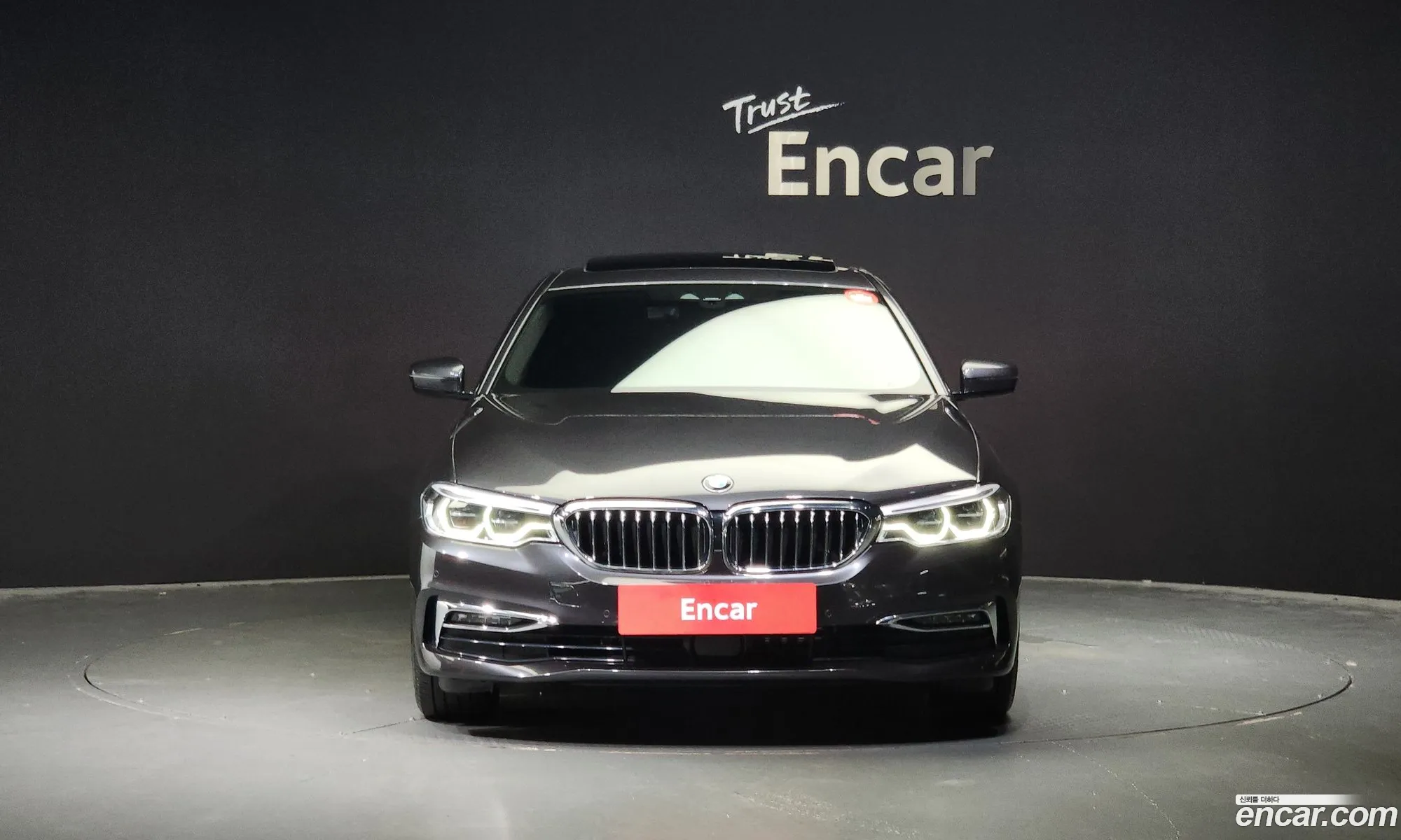 BMW 5Er Vii G30G31 530I Luxury Plus 2020 - фотография 12446820