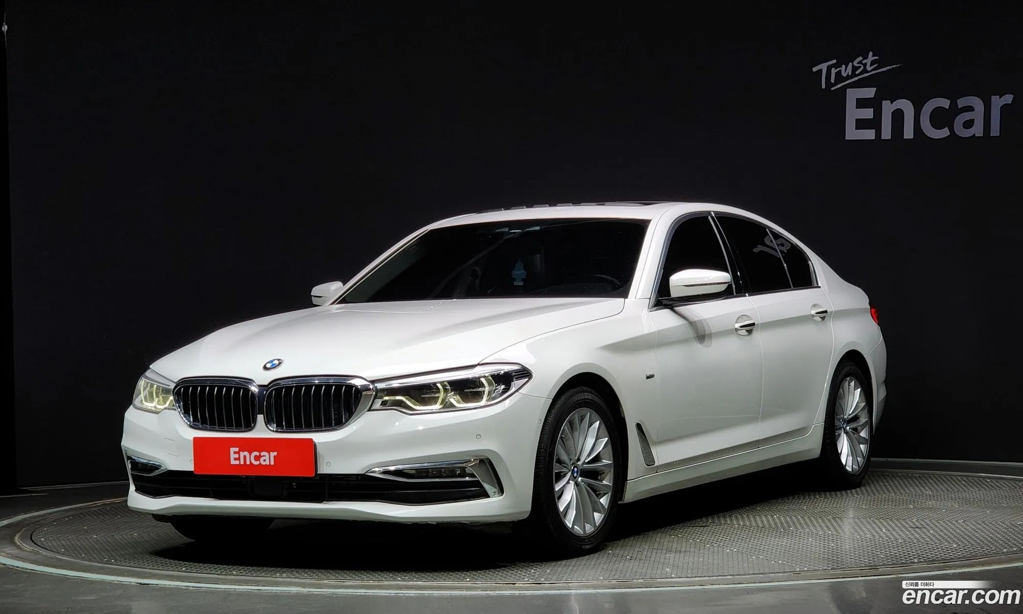 BMW 5Er Vii G30G31 520D Luxury Special Edition 2017 - фотография 17443340