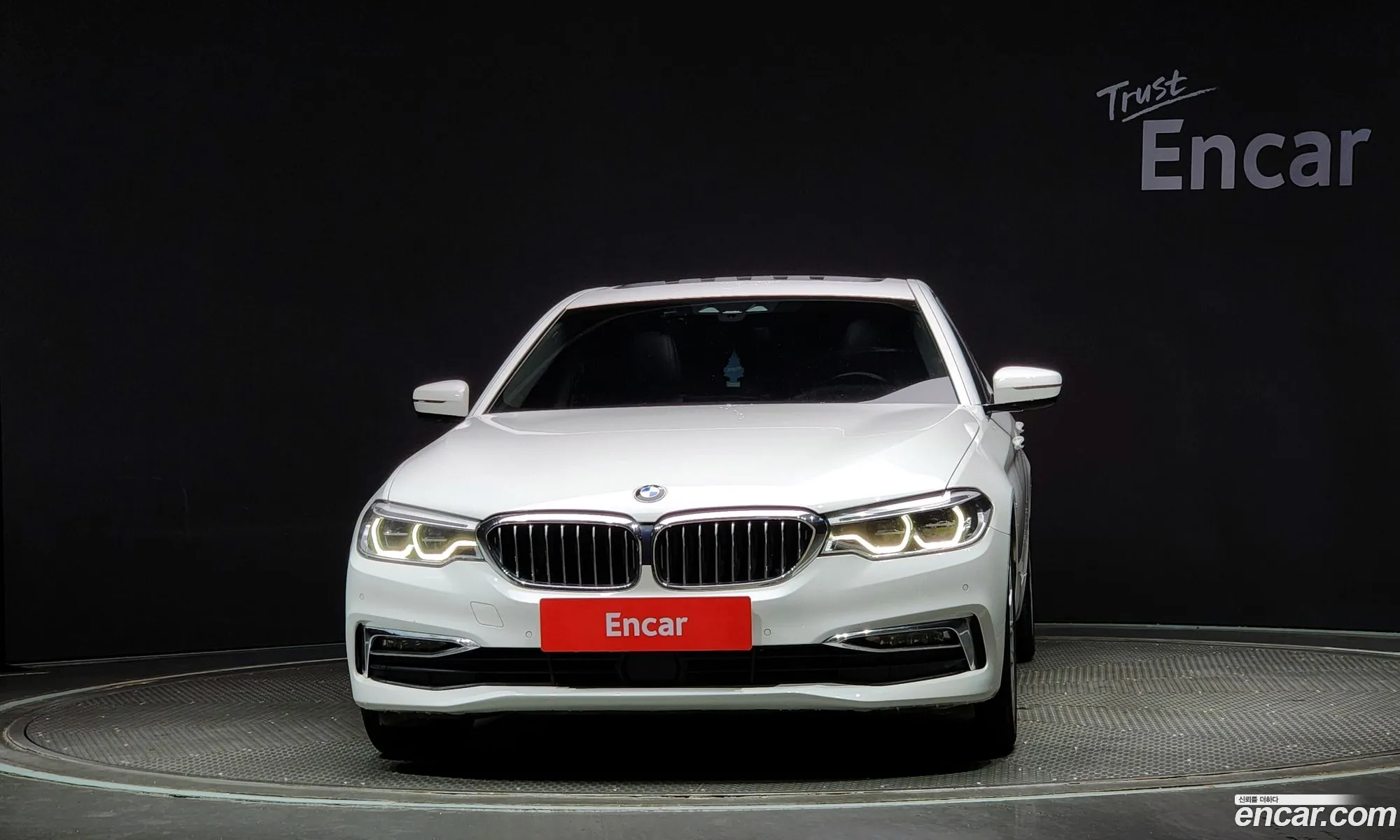 BMW 5Er Vii G30G31 520D Luxury Special Edition 2017 - фотография 17443342