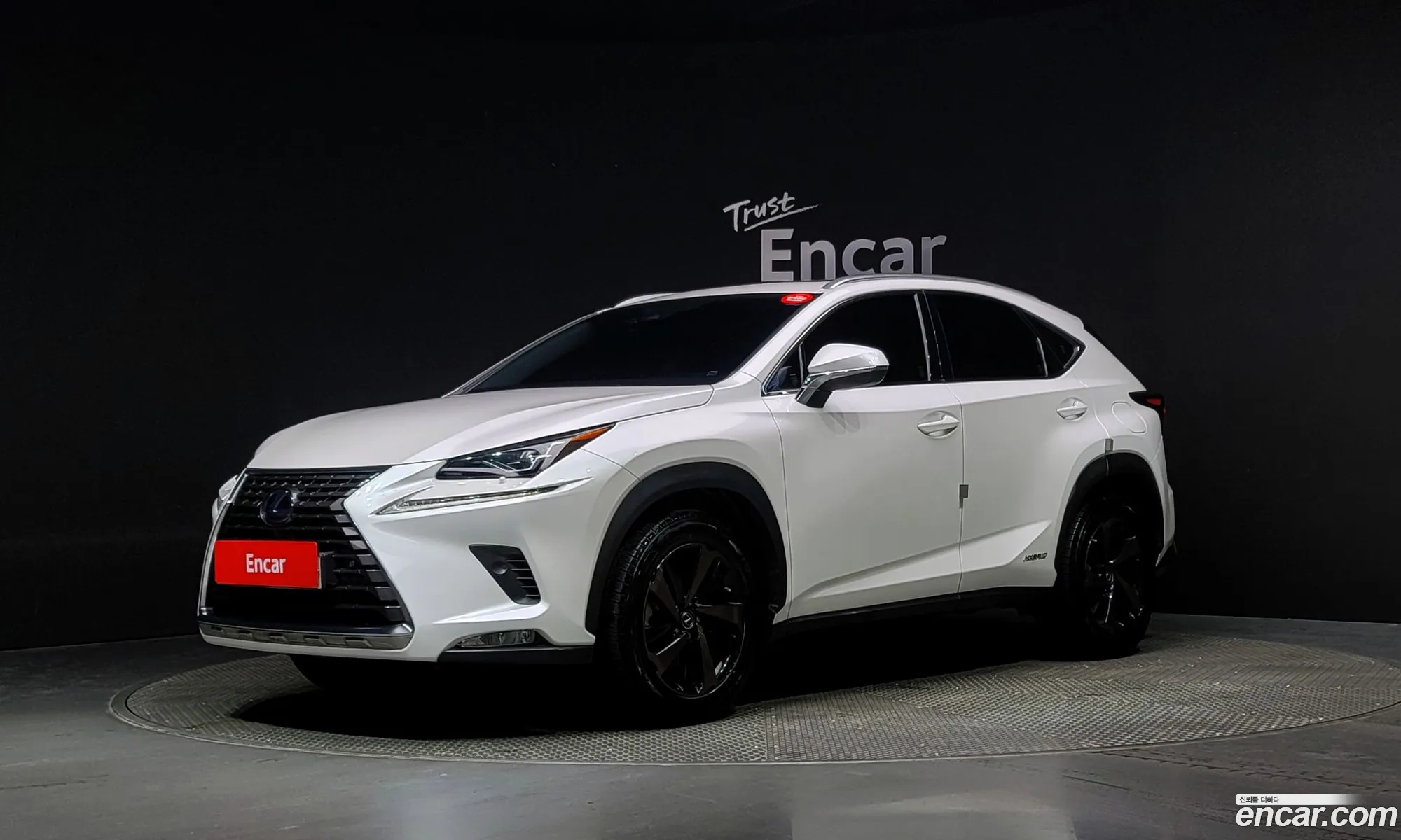 Lexus Nx I Executive 2020 - фотография 4613457