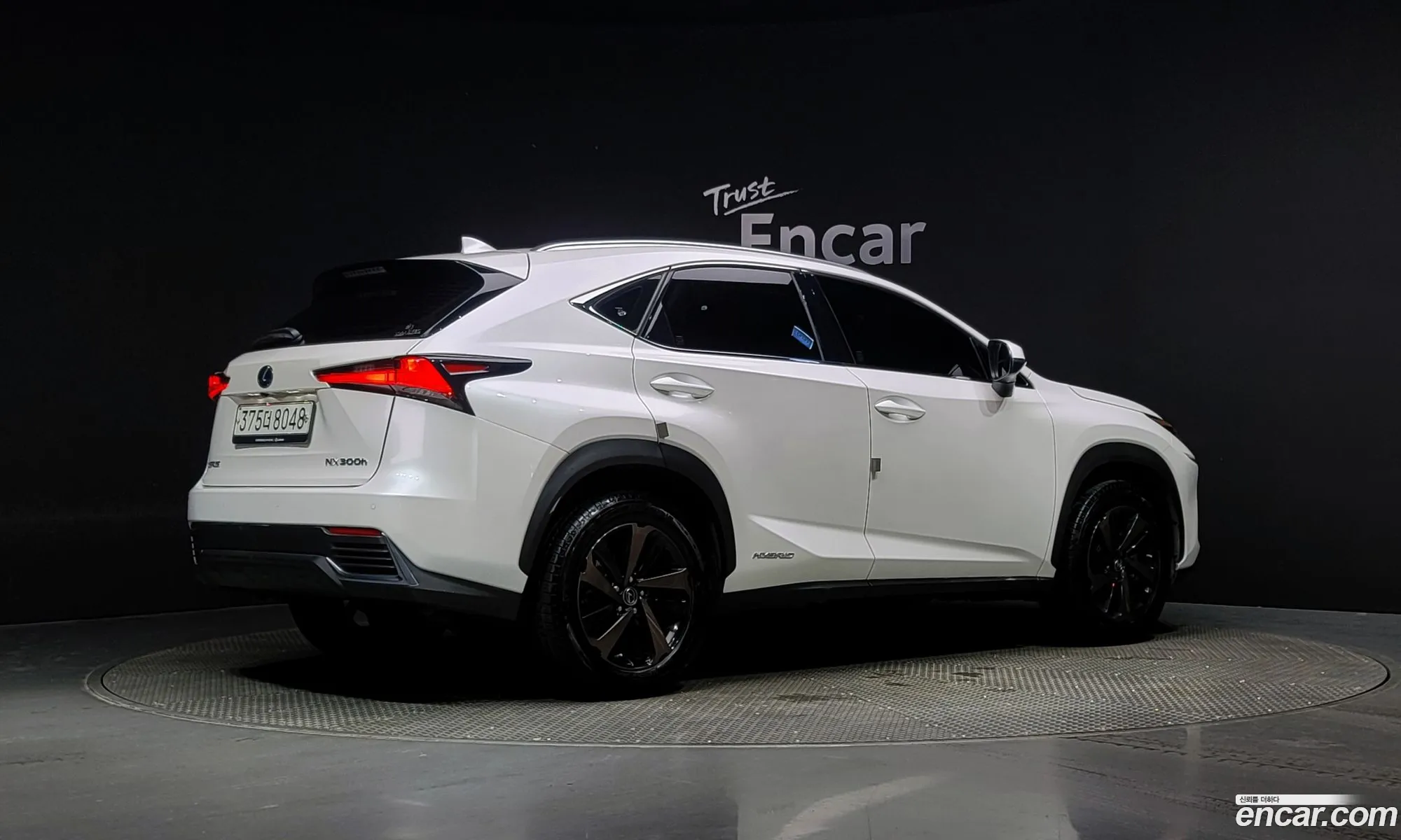 Lexus Nx I Executive 2020 - фотография 4613458