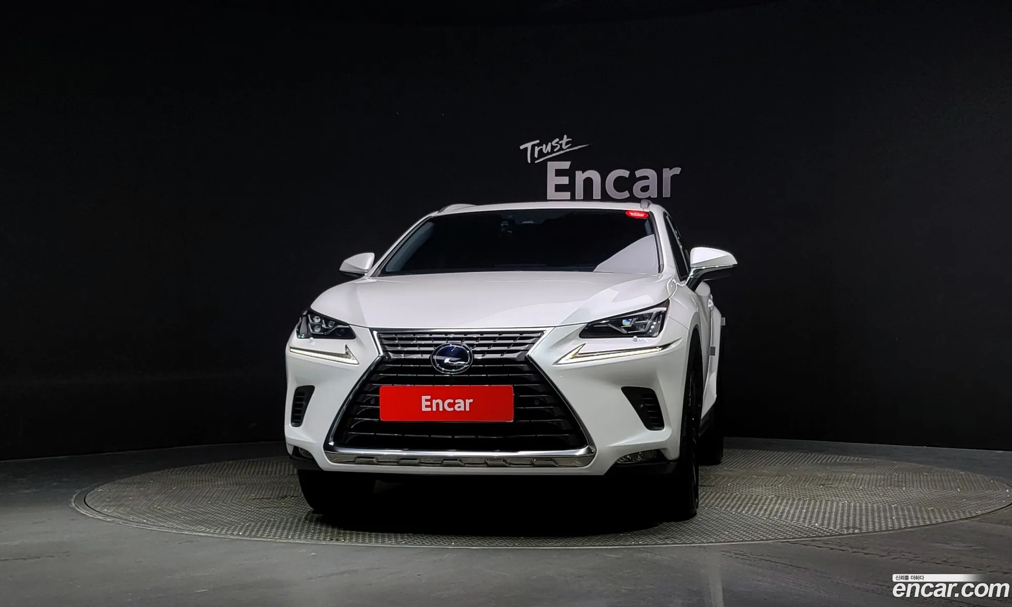 Lexus Nx I Executive 2020 - фотография 4613459