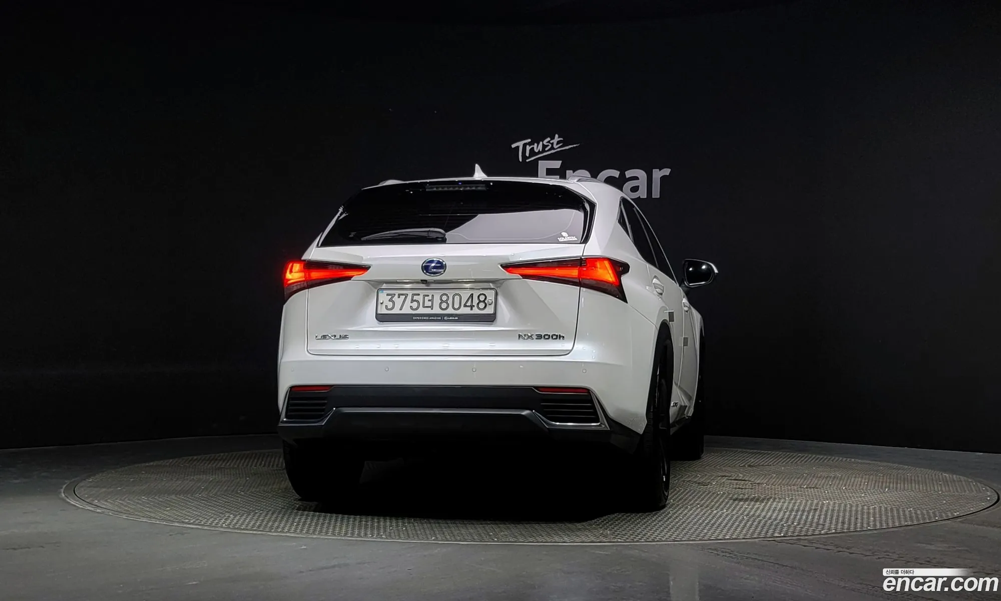 Lexus Nx I Executive 2020 - фотография 4613460