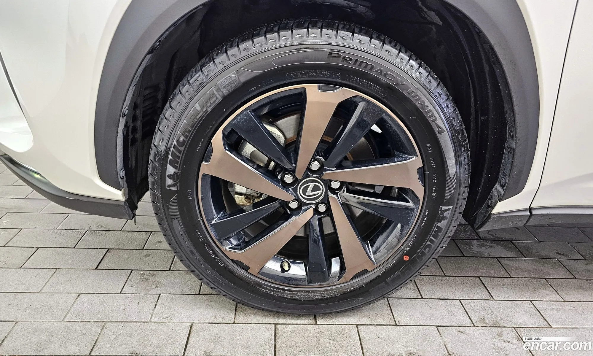 Lexus Nx I Executive 2020 - фотография 4613461