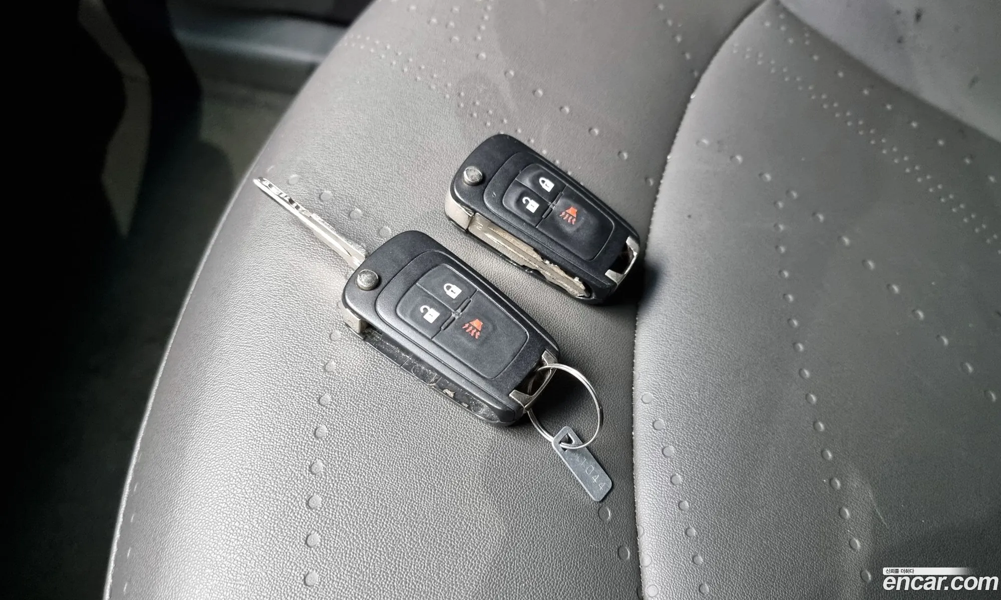 Korex Auto Trade - фотография 17304790