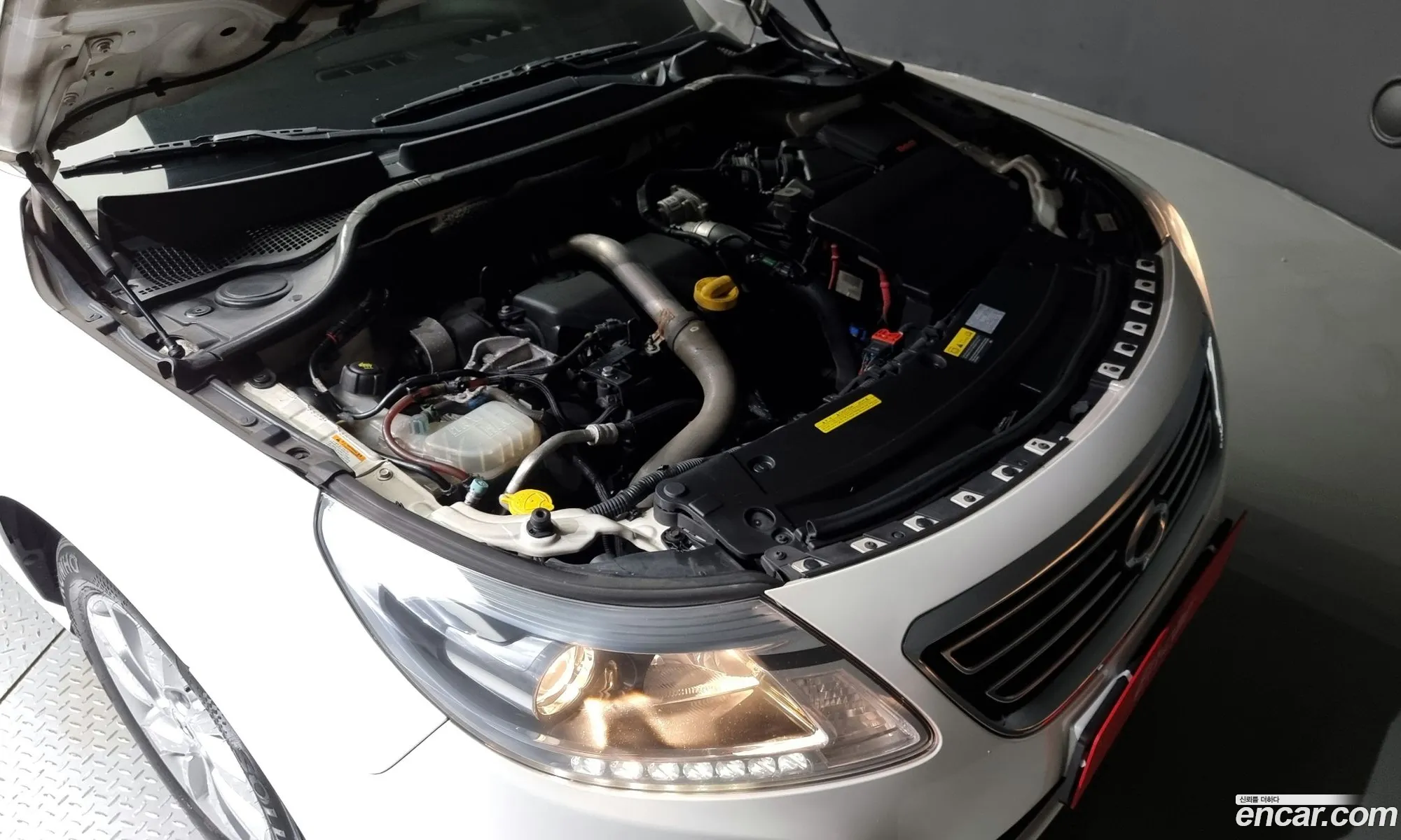 Renault Samsung Sm5 Diesel D 2014 - фотография 13466609