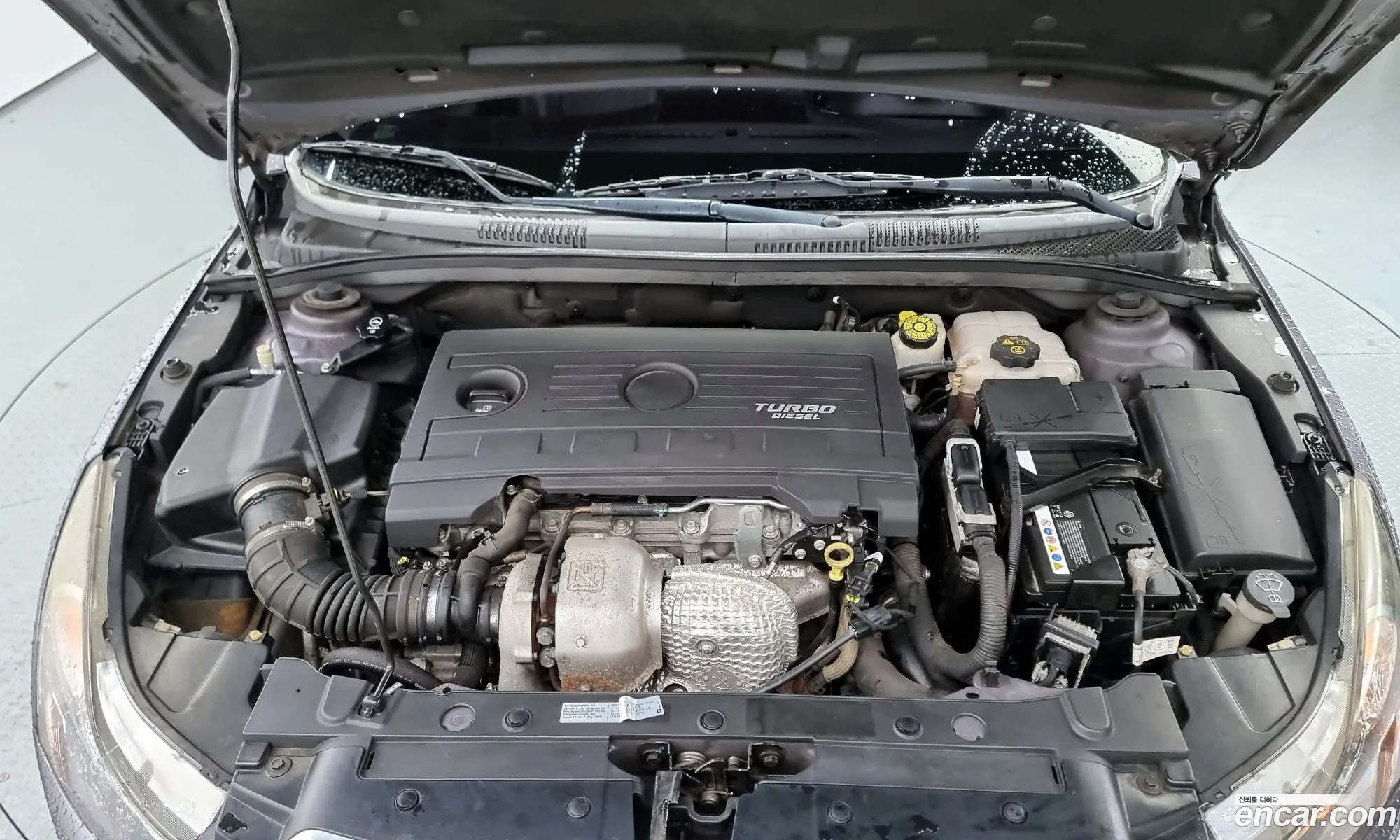 Chevrolet Lacetti Lacetti Diesel Cdx 2011 - фотография 8320804