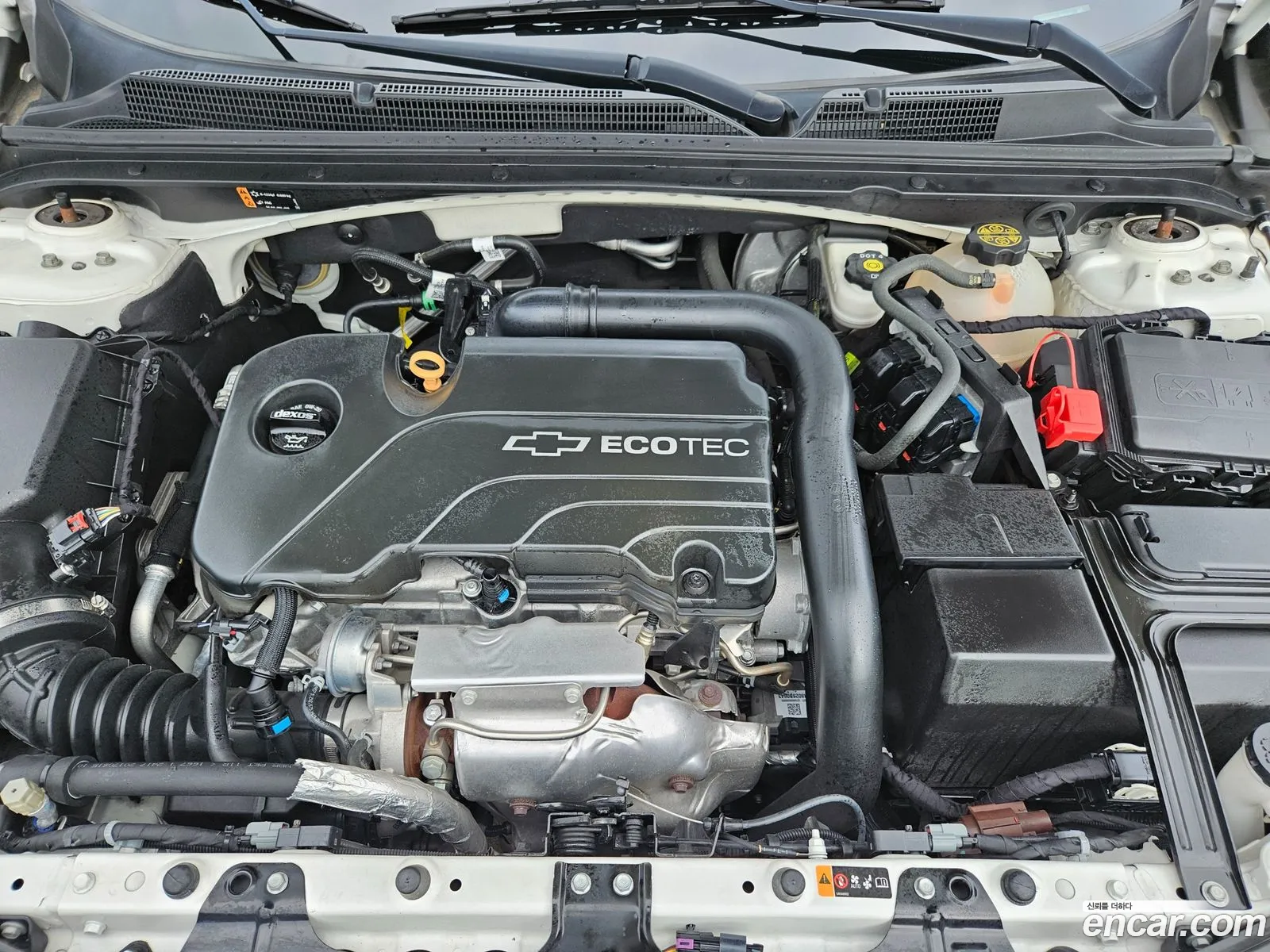 Korex Auto Trade - фотография 17484180