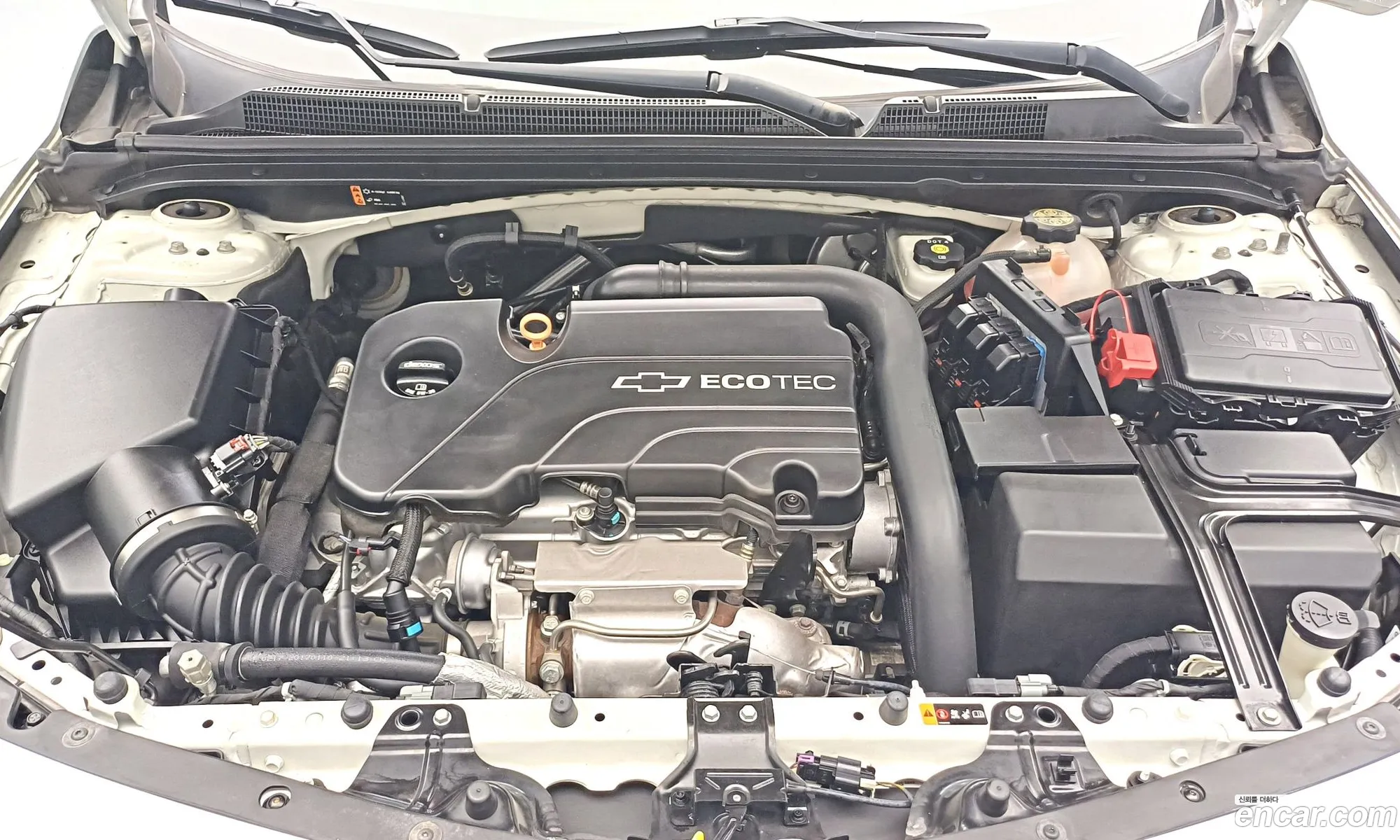 Korex Auto Trade - фотография 17508149