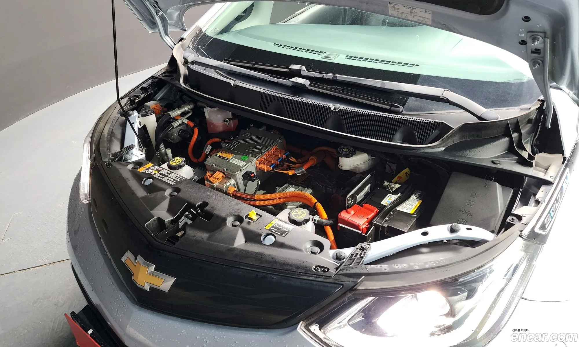 Chevrolet Gm Daewoo Bolt Ev Ev - фотография 8691648