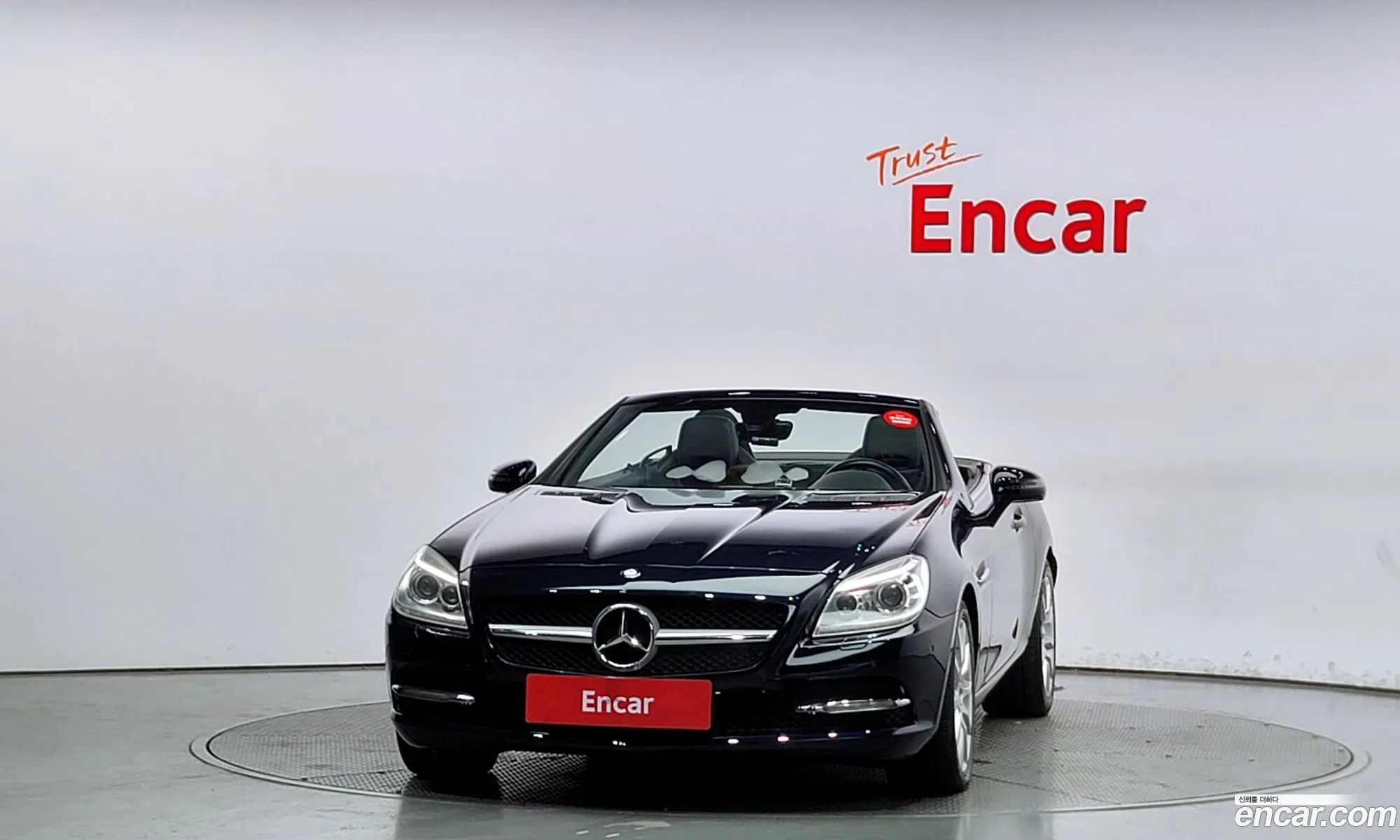 Mercedes-Benz Slk-Klasse Iii R172 200 Blue Efficiency 2012 - фотография 16157940