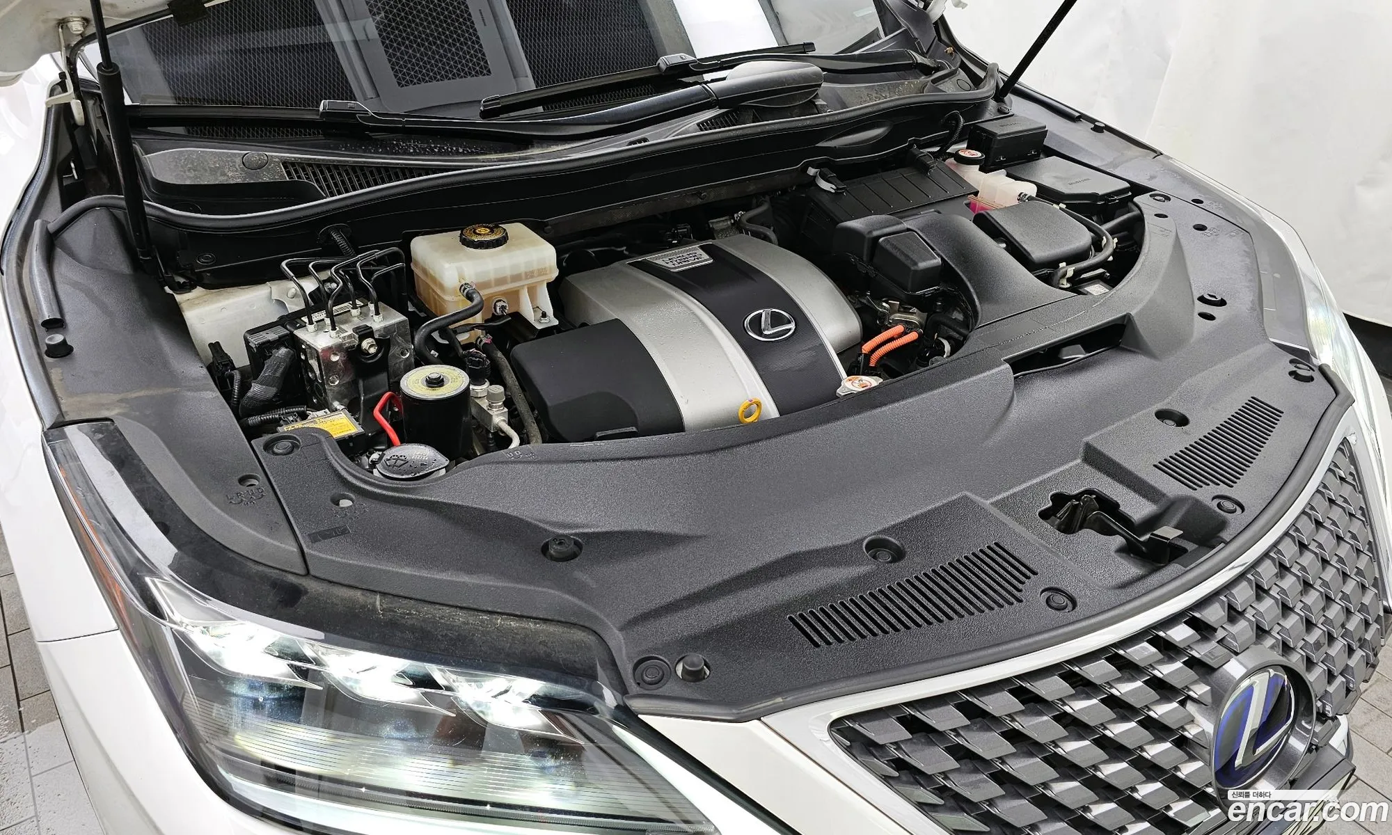 Lexus Rx Iv Executive 2020 - фотография 4613474