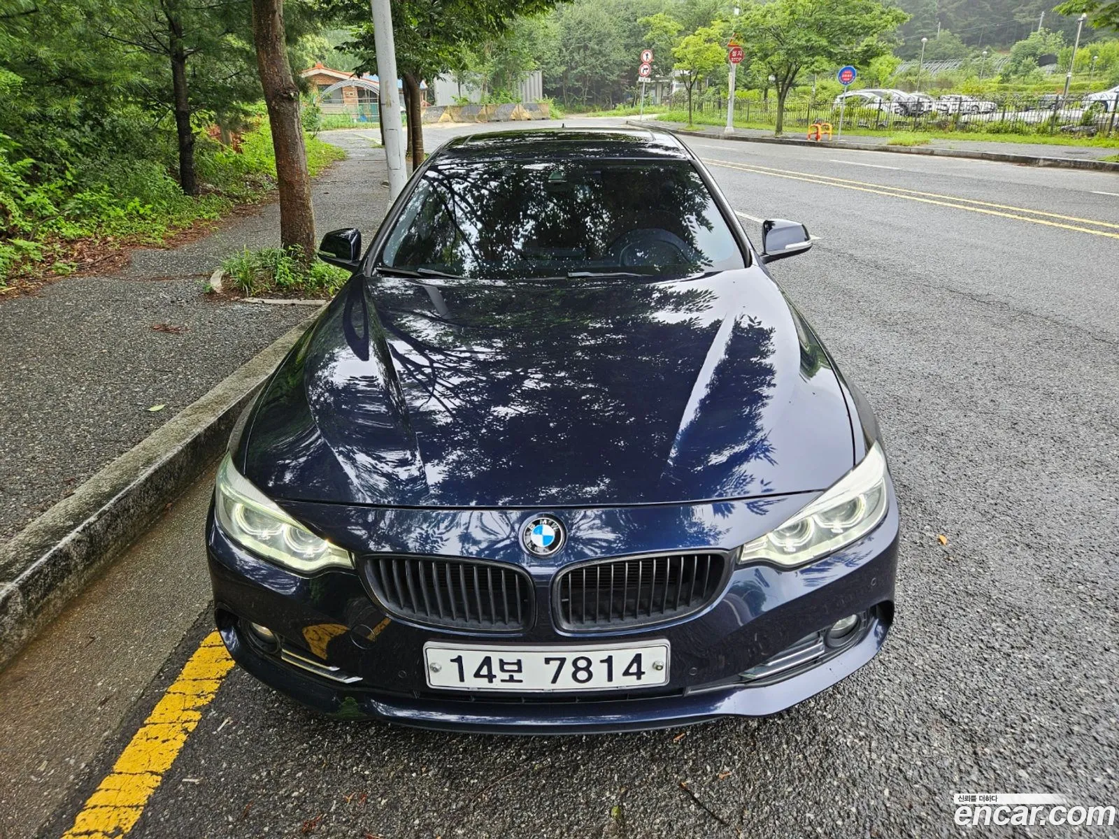 BMW 4Er 420D Luxury Gran Coupe 2015 - фотография 12446782