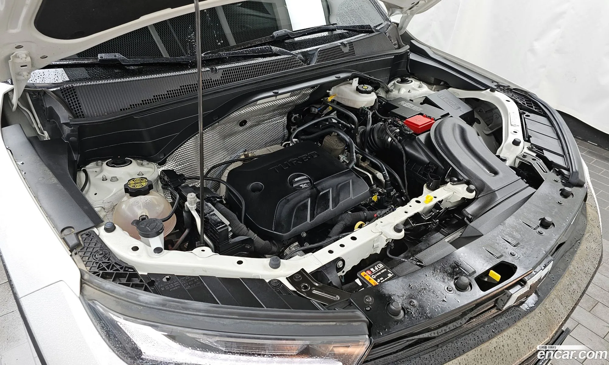 Chevrolet Trailblazer Iii 13 Turbo 2Wd 2022 - фотография 8257492