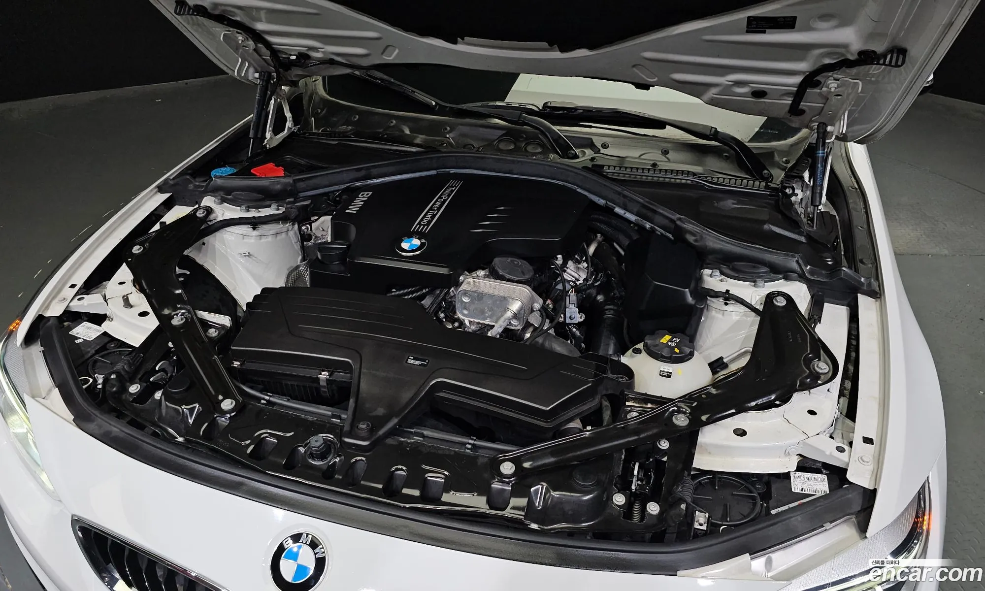 BMW 4Er 428I M Sports Convertible 2016 - фотография 18123499