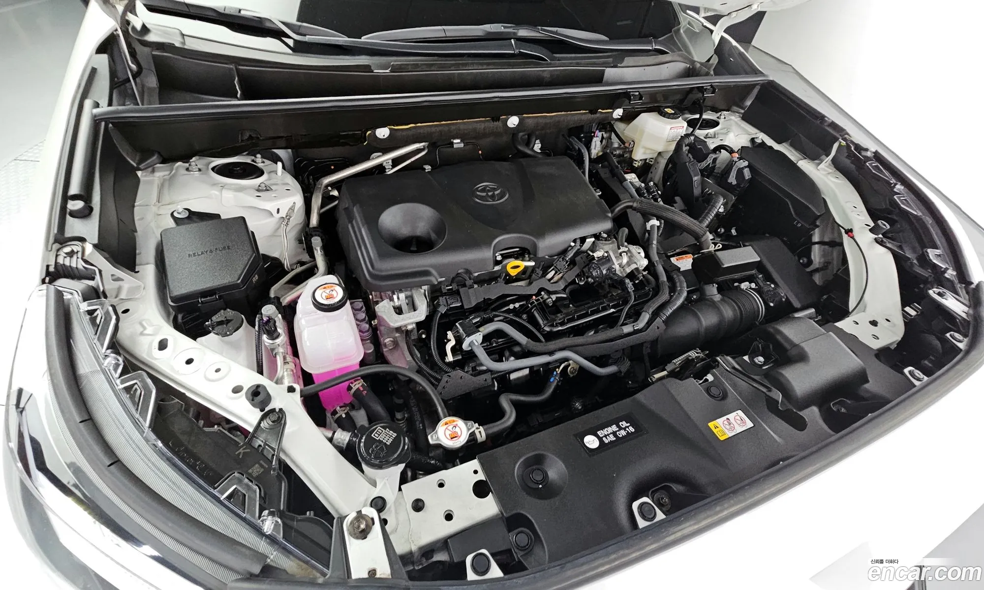 Toyota Rav 4 V Xa50 25 2Wd Hybrid 2022 - фотография 14826872