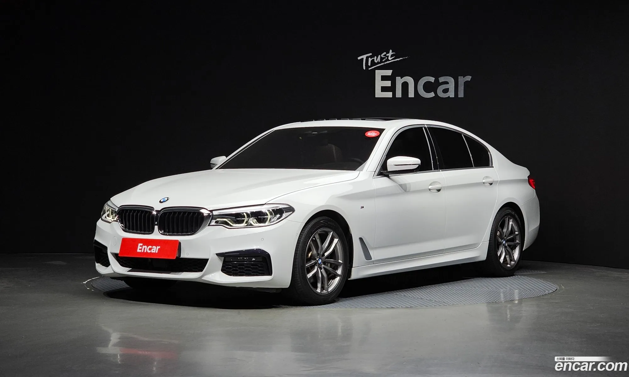 BMW 5Er Vii G30G31 520D M Sport Plus 2019 - фотография 18388736
