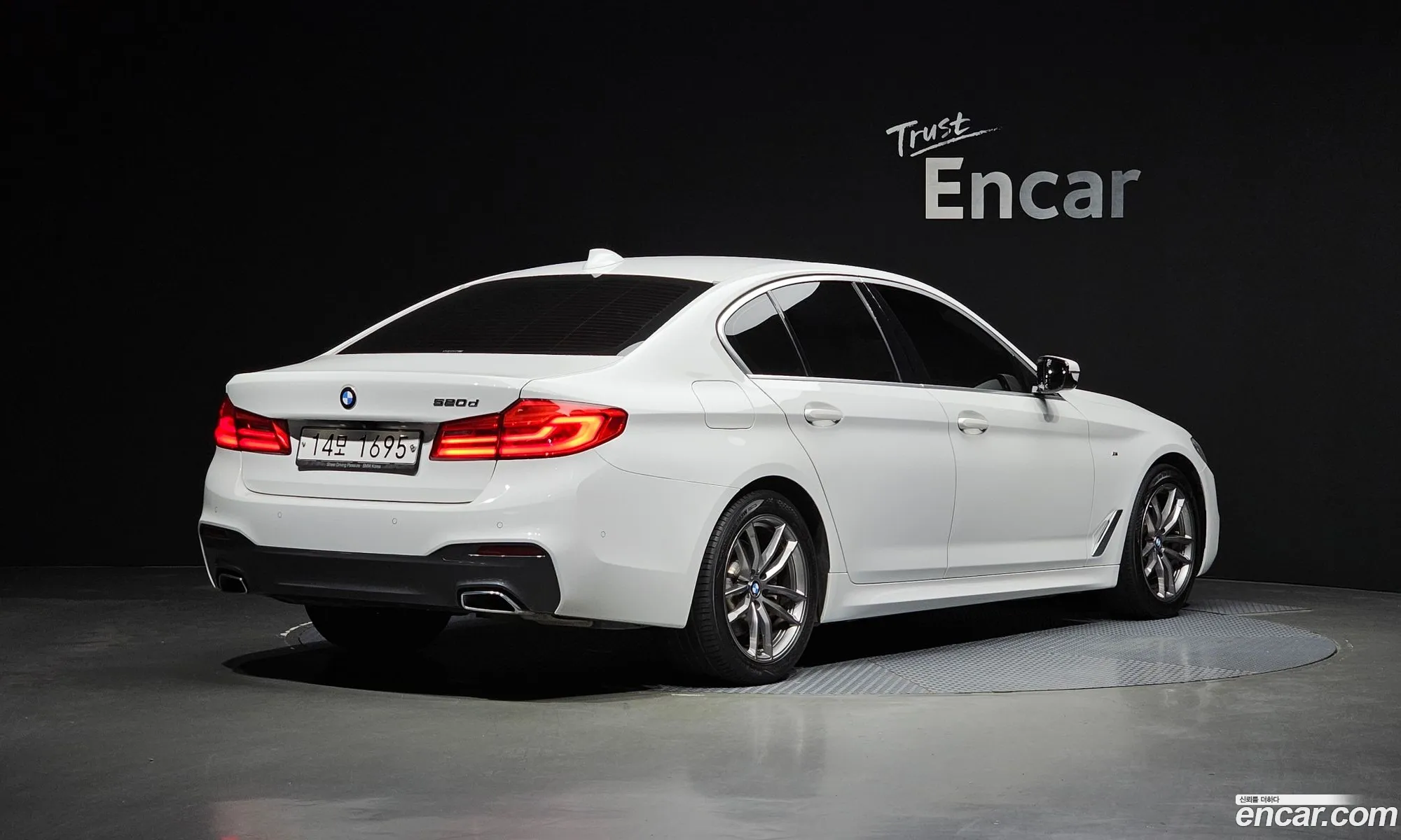 BMW 5Er Vii G30G31 520D M Sport Plus 2019 - фотография 18388737