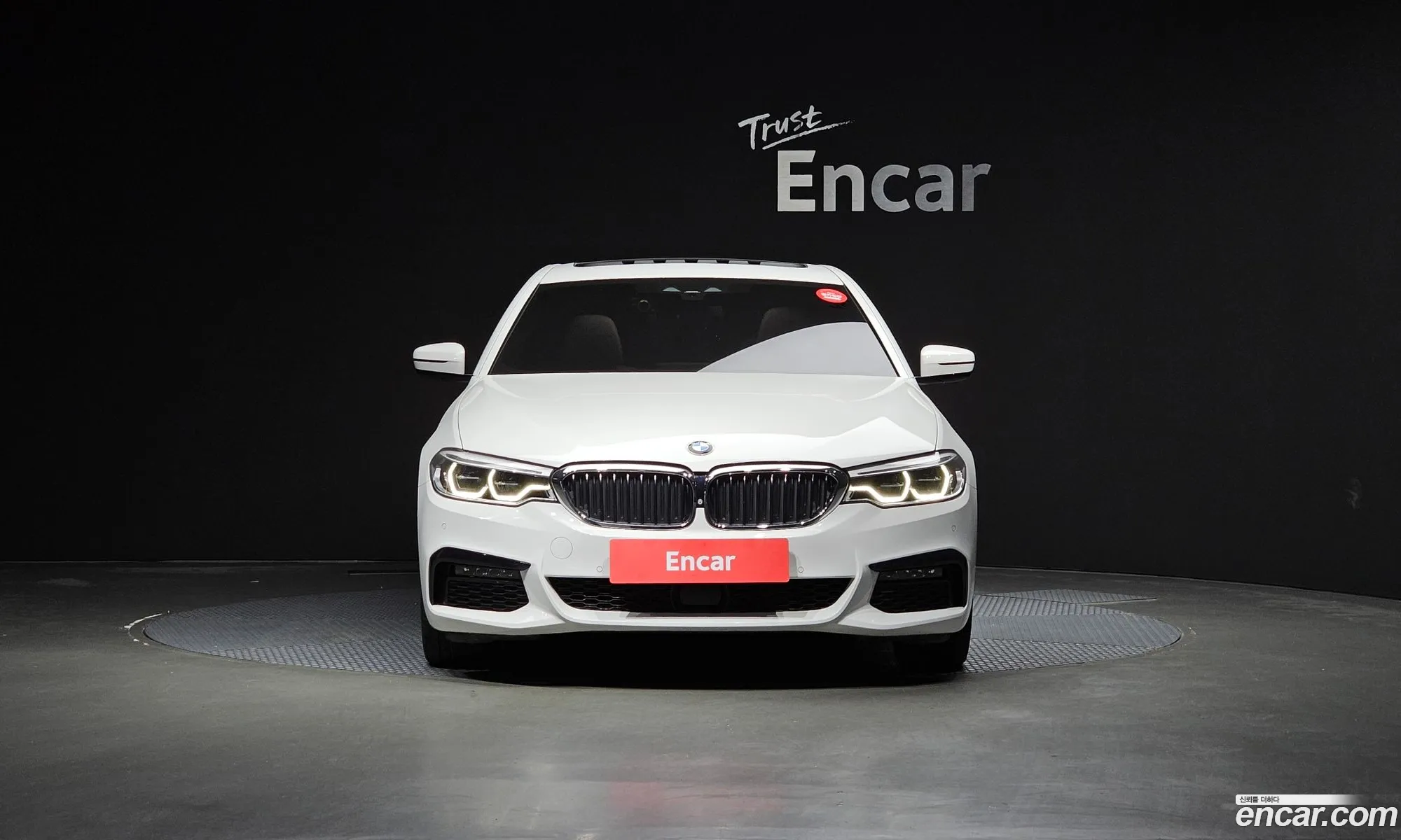 BMW 5Er Vii G30G31 520D M Sport Plus 2019 - фотография 18388738