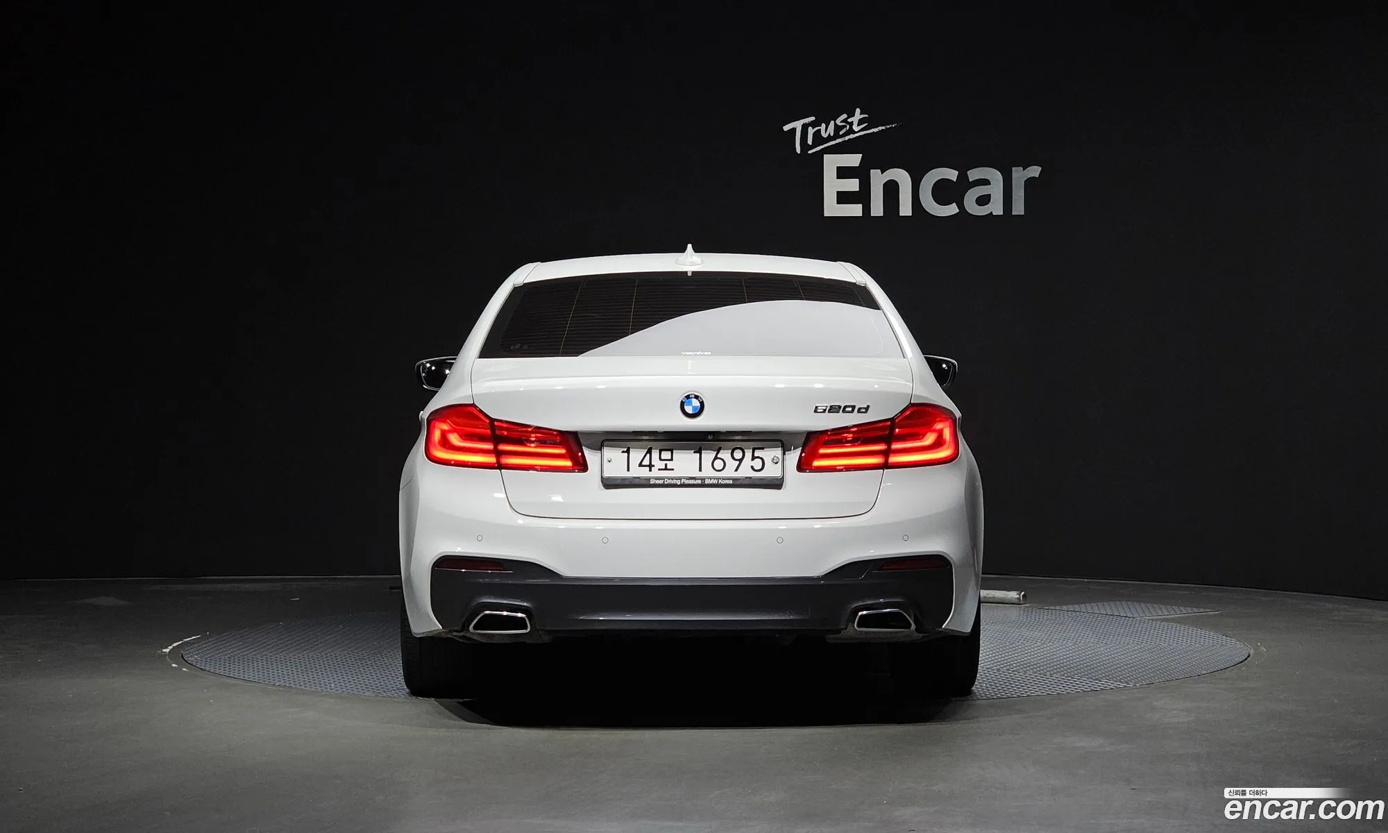 BMW 5Er Vii G30G31 520D M Sport Plus 2019 - фотография 18388739