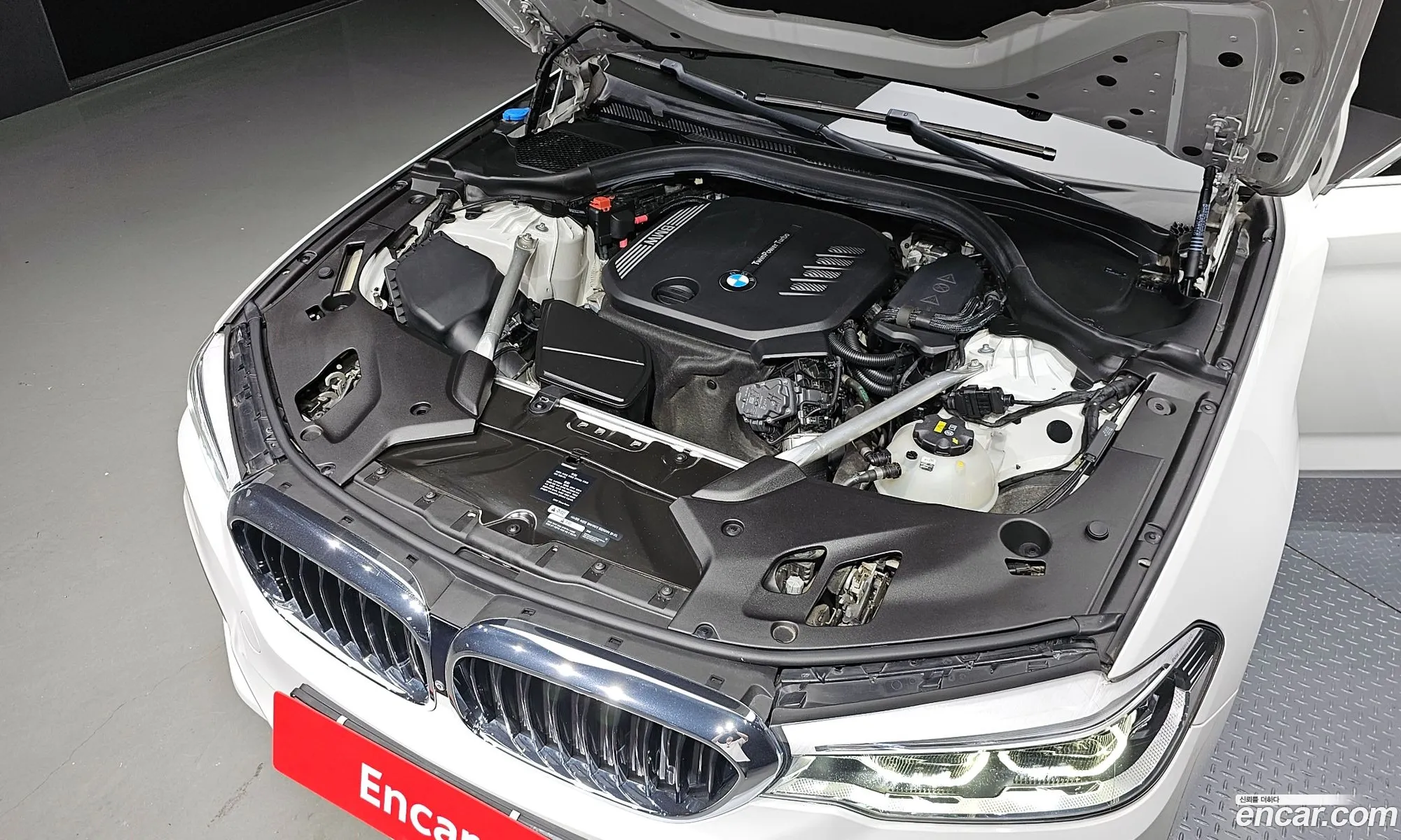BMW 5Er Vii G30G31 520D M Sport Plus 2019 - фотография 18388741