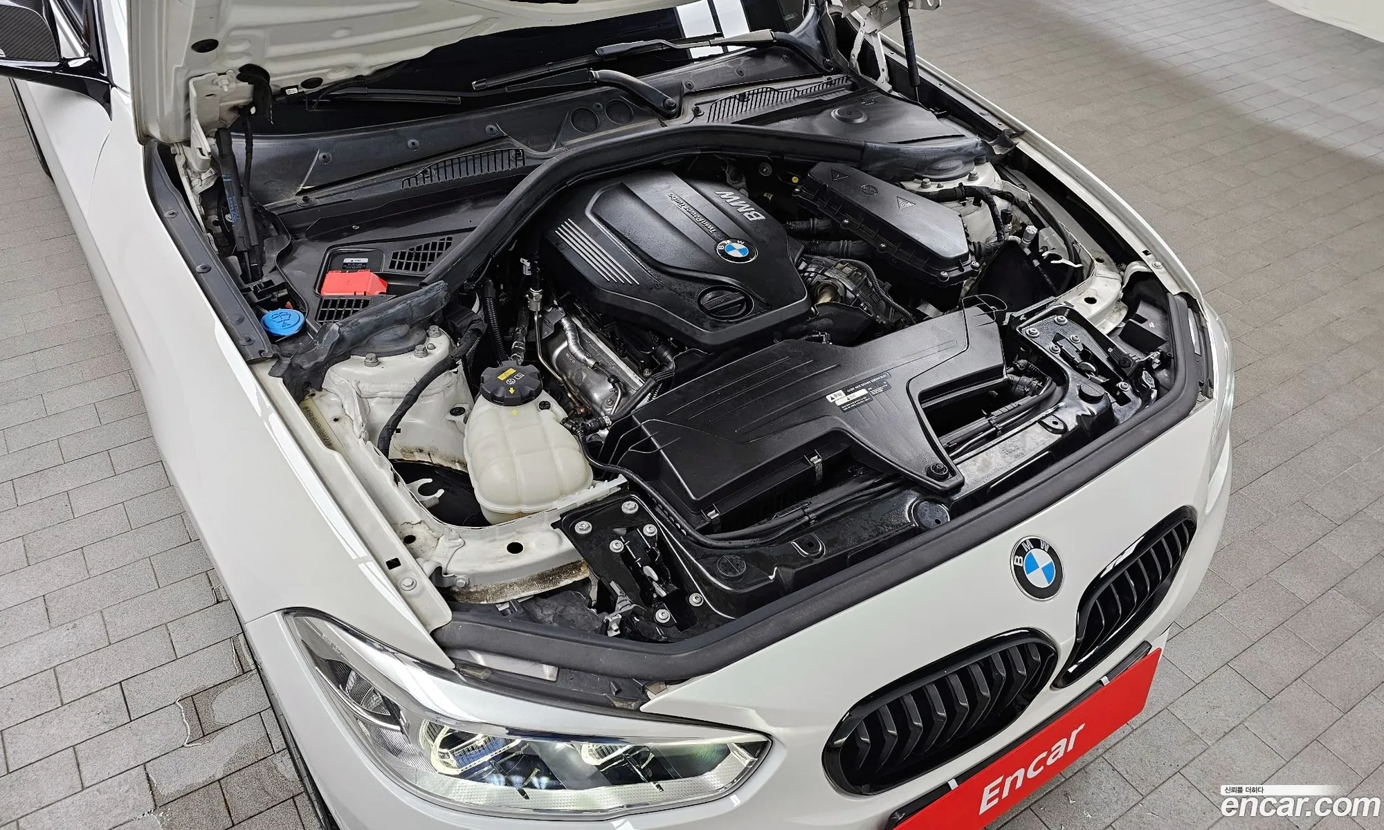 BMW 1Er 118D Sports Special Edition 5-Door 2019 - фотография 18337503