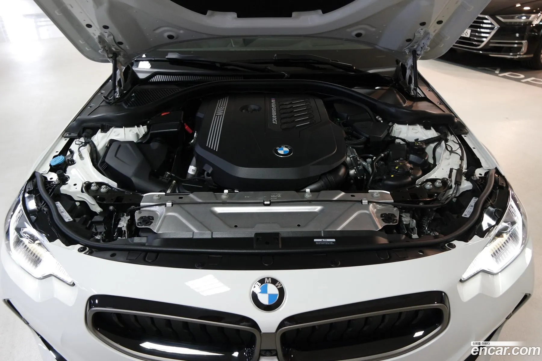 BMW 2Er M240I xDrive Online Exclusive Coupe 2023 - фотография 18388765