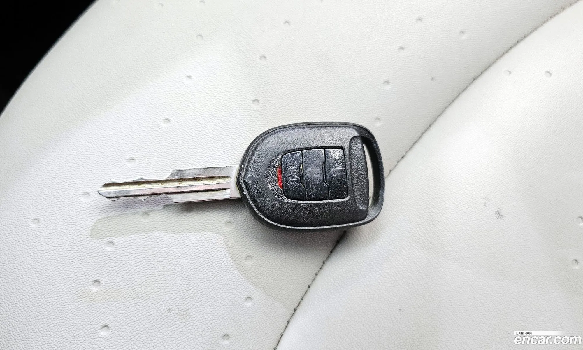 Korex Auto Trade - фотография 8522613
