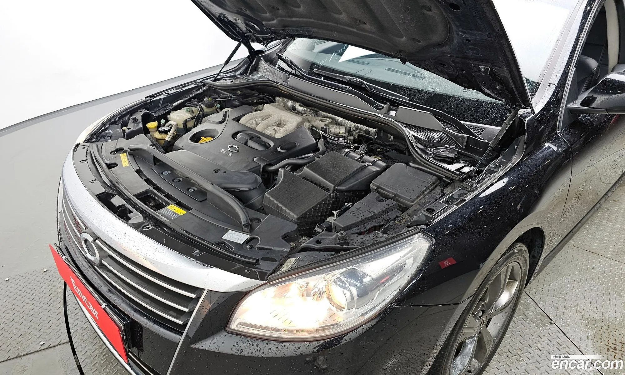 Renault Samsung Sm7 Le 2012 - фотография 1514906