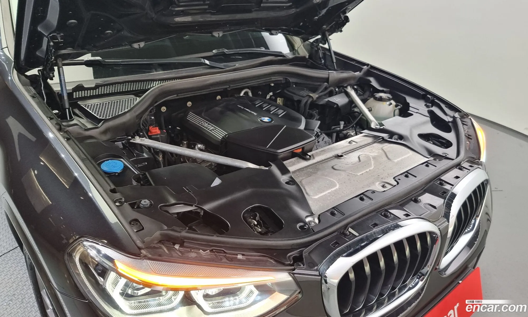 BMW X4 Ii G02 xDrive20D M Sports 2020 - фотография 18034421