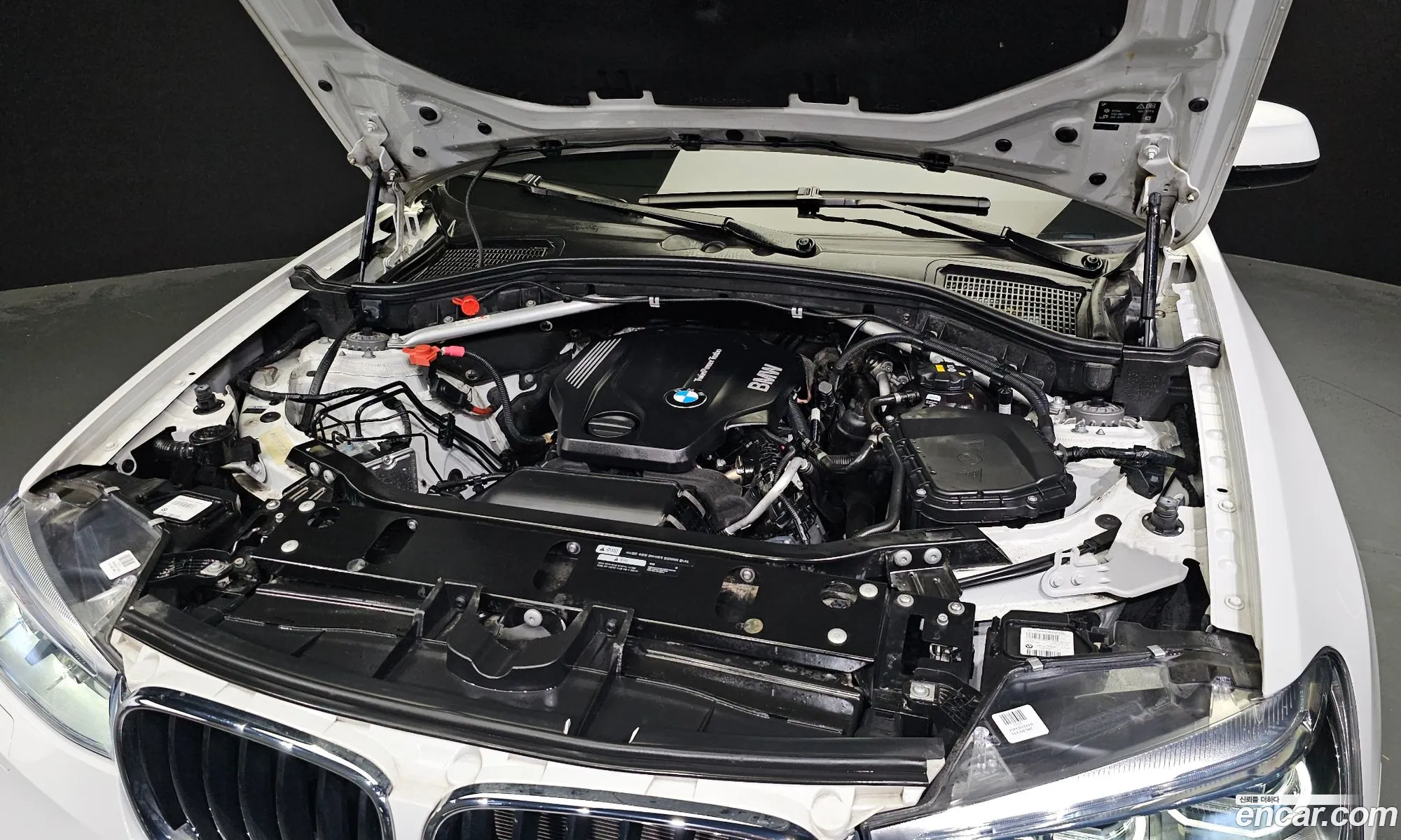 BMW X4 xDrive20D M Sports 2018 - фотография 18140058