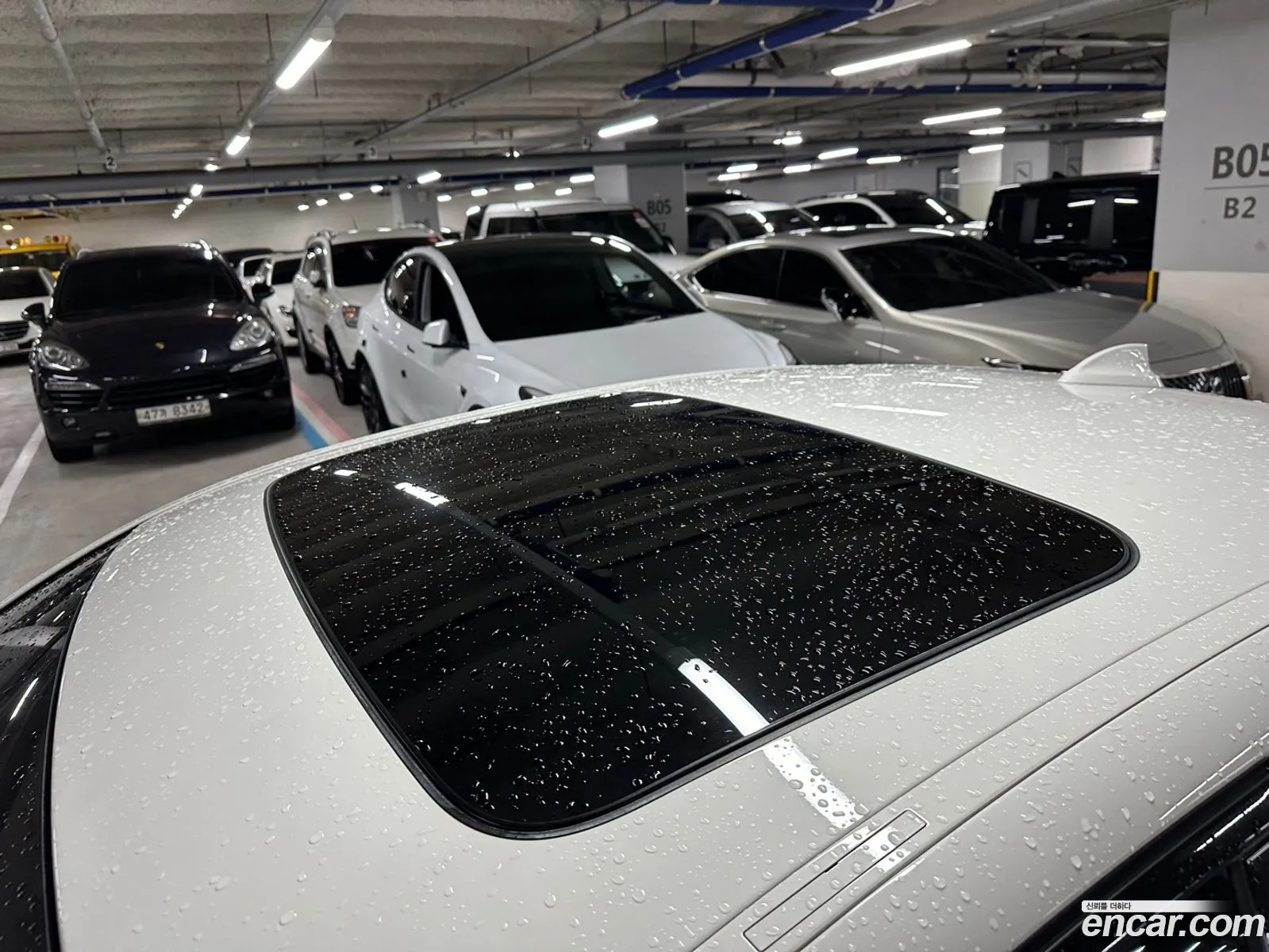 Korex Auto Trade - фотография 18212988