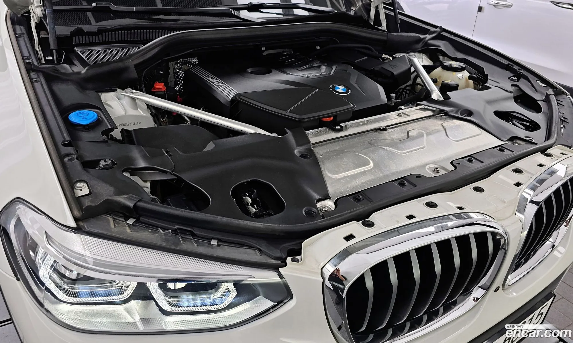 BMW X4 Ii G02 xDrive20I M Sports 2020 - фотография 17881216