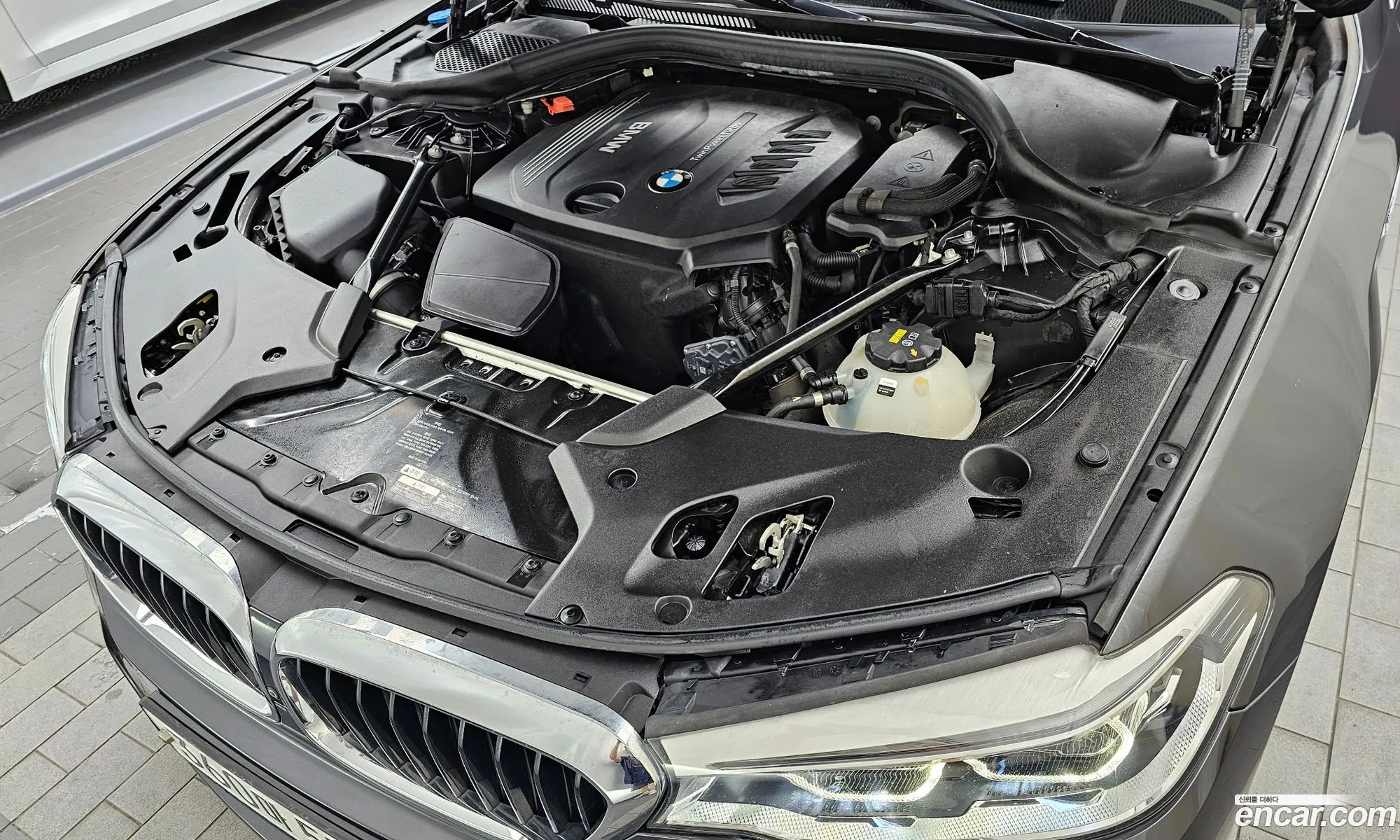 BMW 5Er Vii G30G31 520D xDrive M Sport Plus 2017 - фотография 17443069