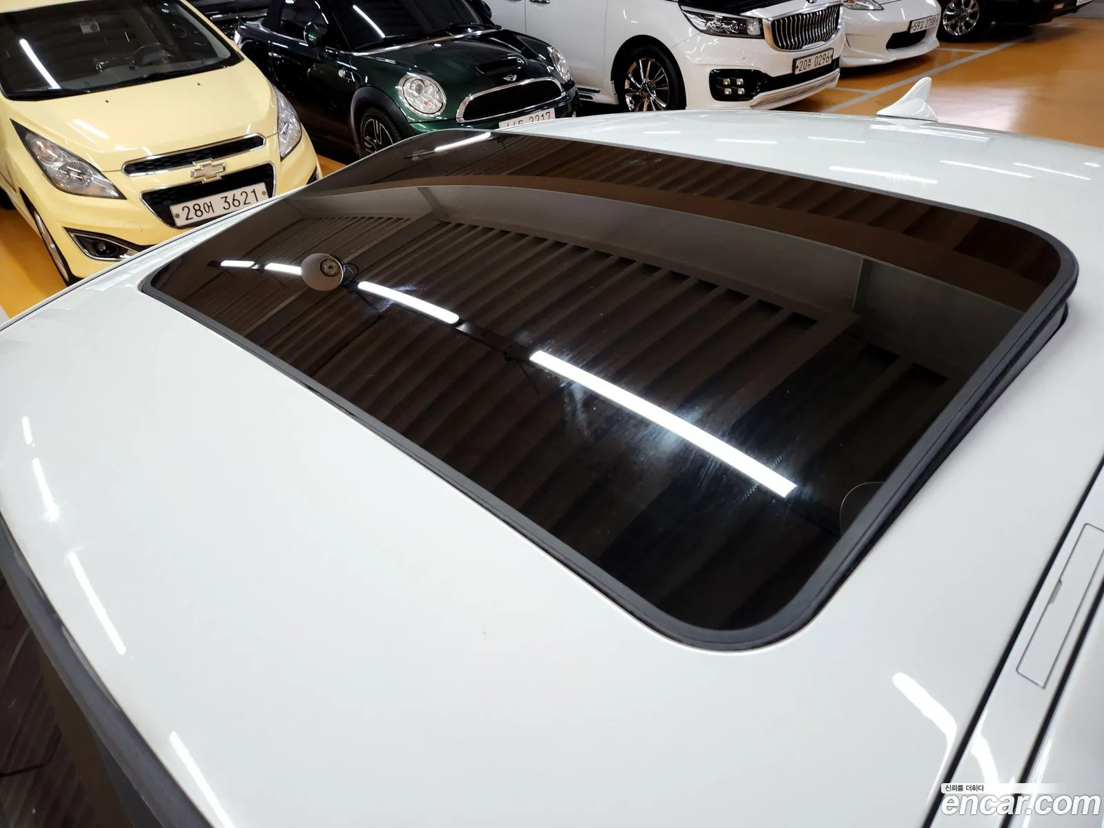 Korex Auto Trade - фотография 17965383