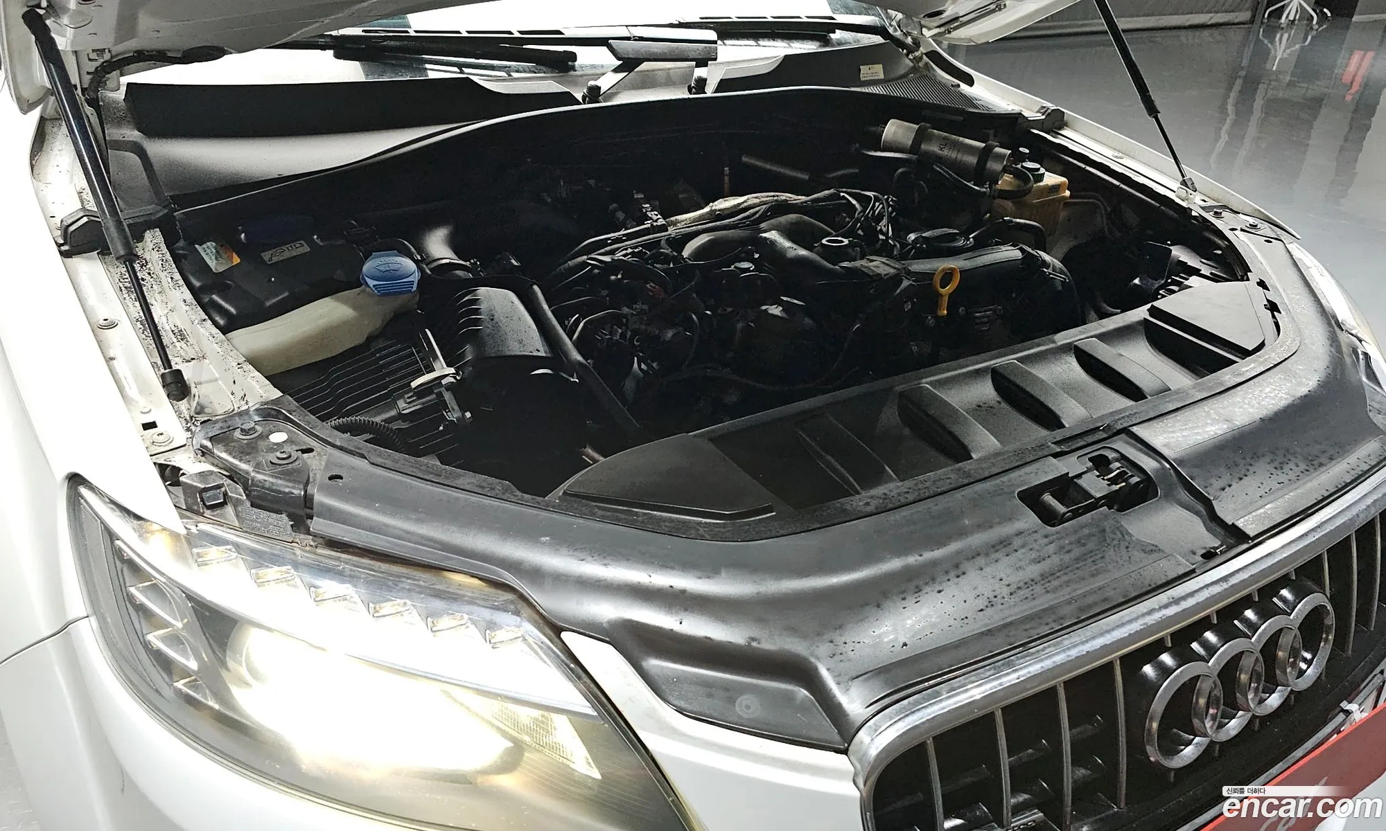 Audi Q7 30 Tdi Quattro 4L - фотография 404473