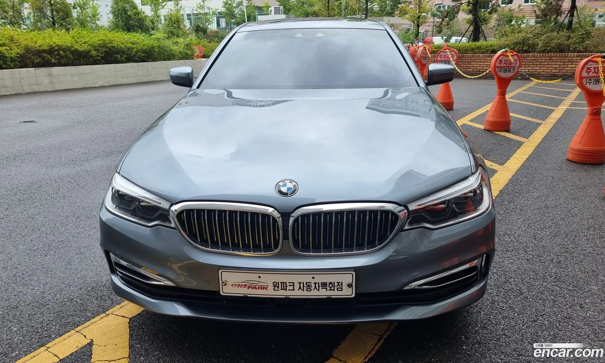 BMW 5Er Vii G30G31 520D Luxury Plus 2019 - фотография 17959499
