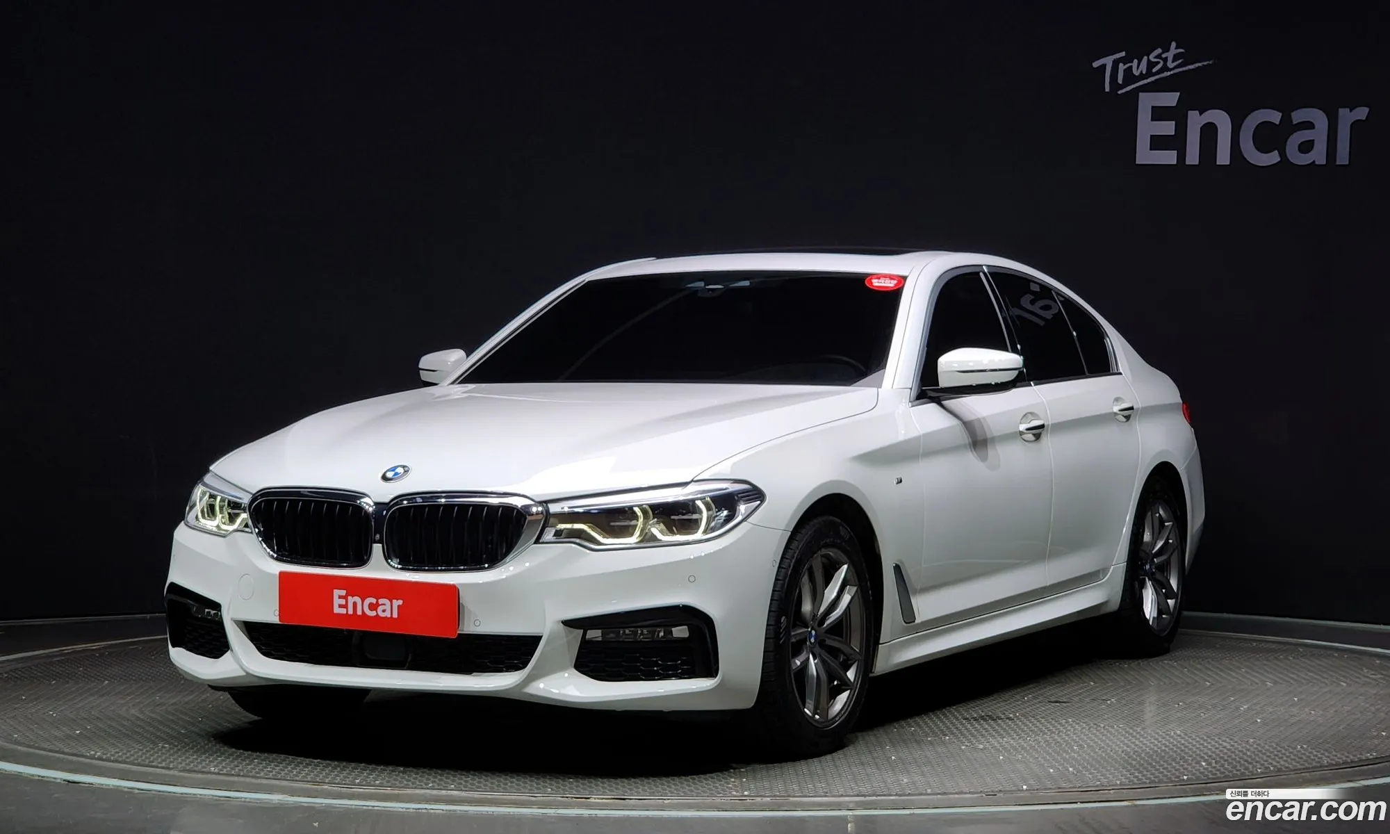BMW 5Er Vii G30G31 520D xDrive M Sport Plus 2018 - фотография 17480879