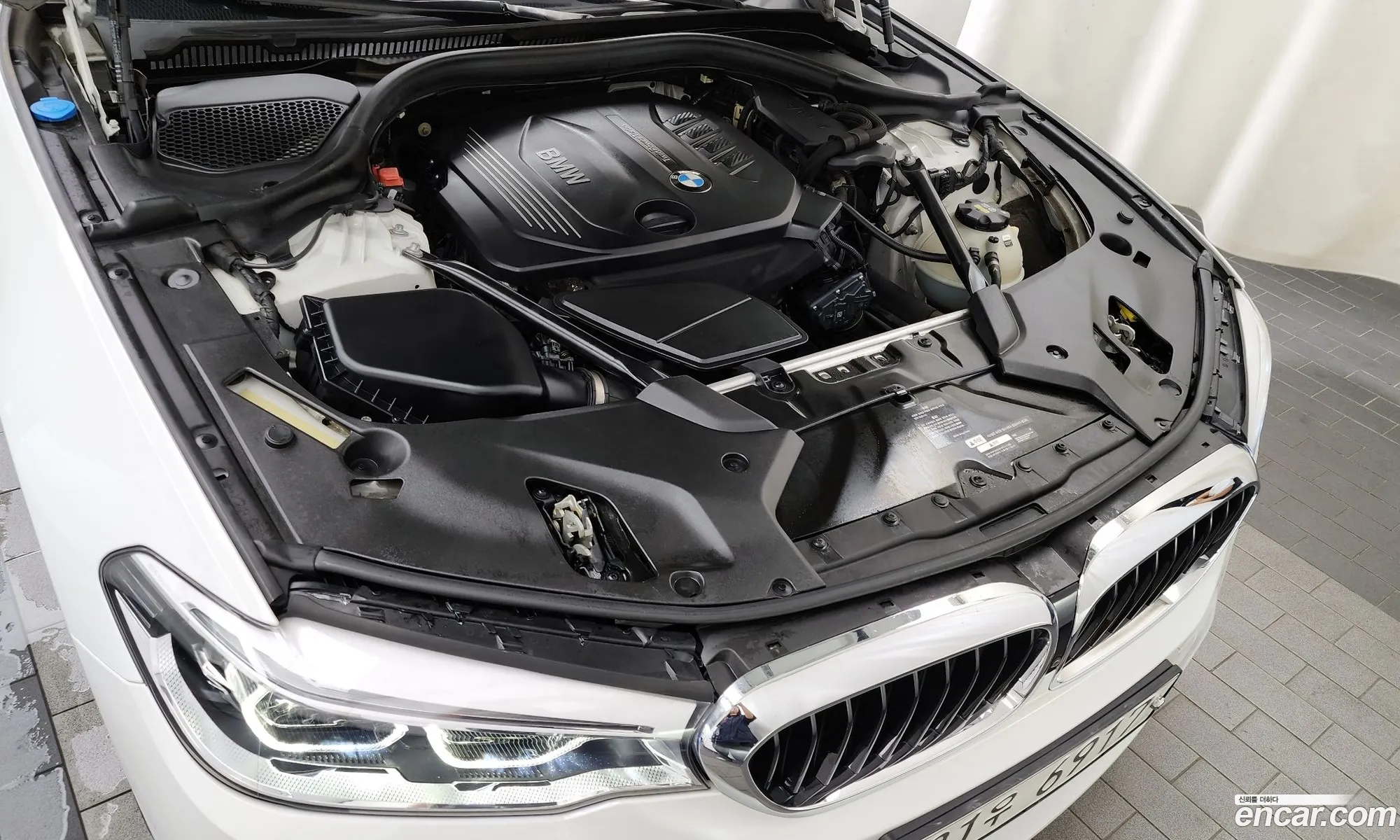 BMW 5Er Vii G30G31 520D xDrive M Sport Plus 2018 - фотография 17480884
