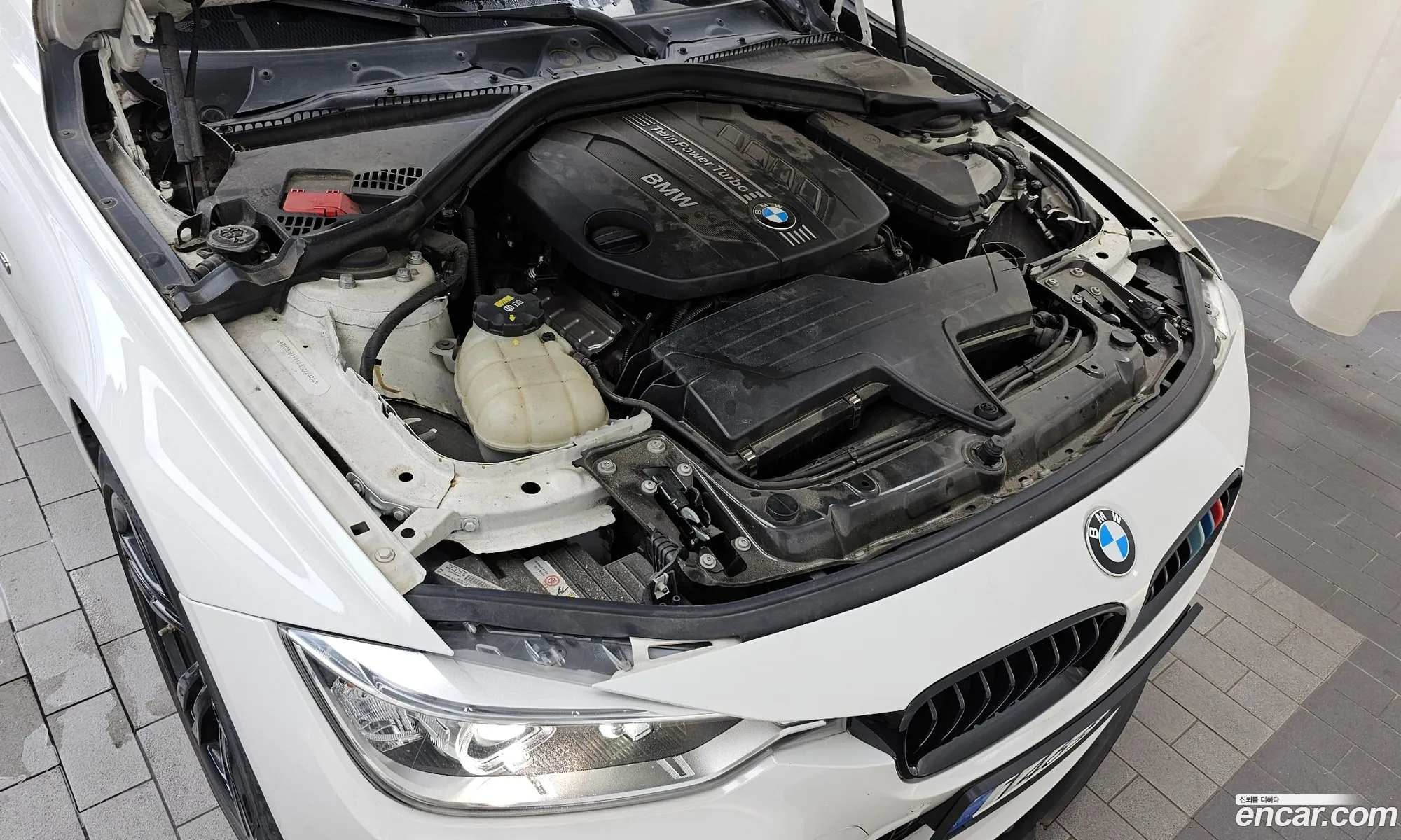 Korex Auto Trade - фотография 11227745