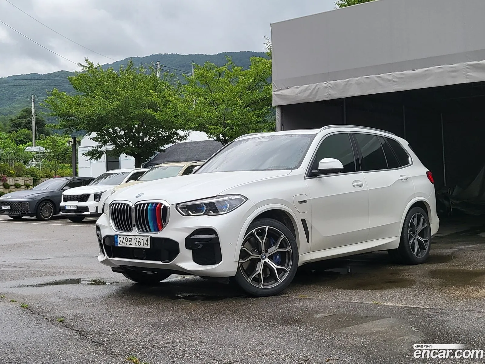 BMW X5 Iv G05 xDrive 45E M Sport 2022 - фотография 18000260