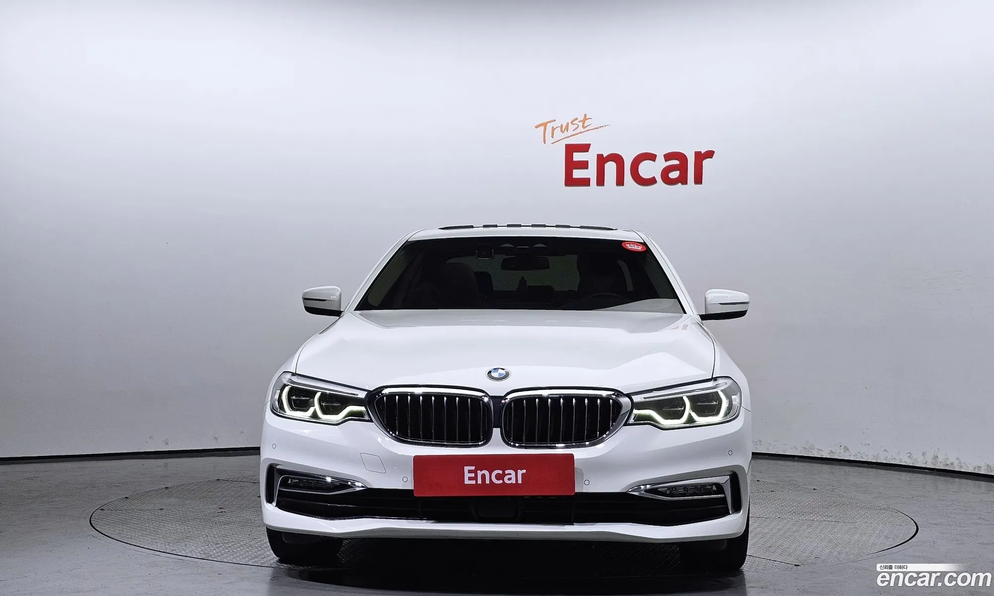 BMW 5Er Vii G30G31 520D xDrive Luxury Plus 2018 - фотография 17903097
