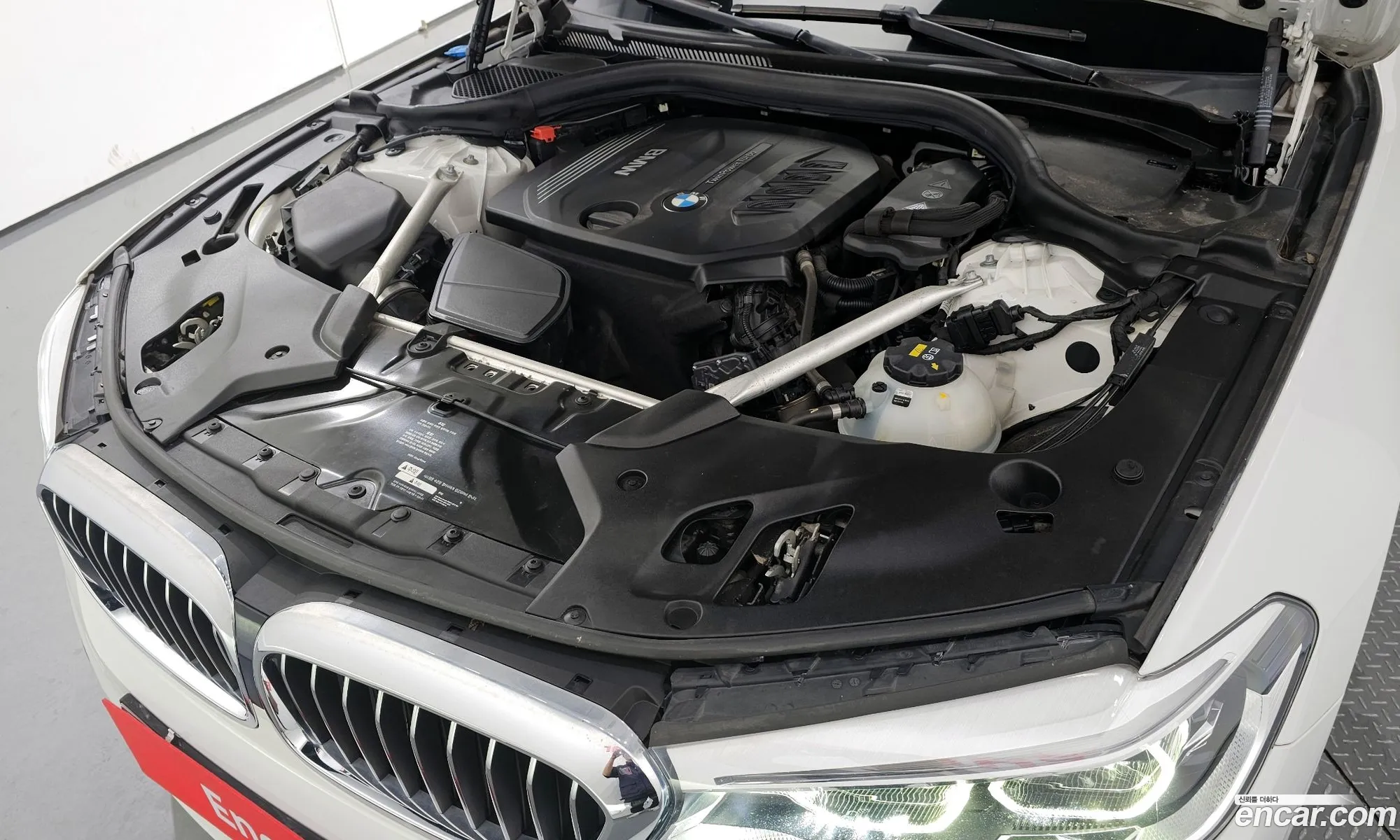 BMW 5Er Vii G30G31 520D xDrive Luxury Plus 2018 - фотография 17903100
