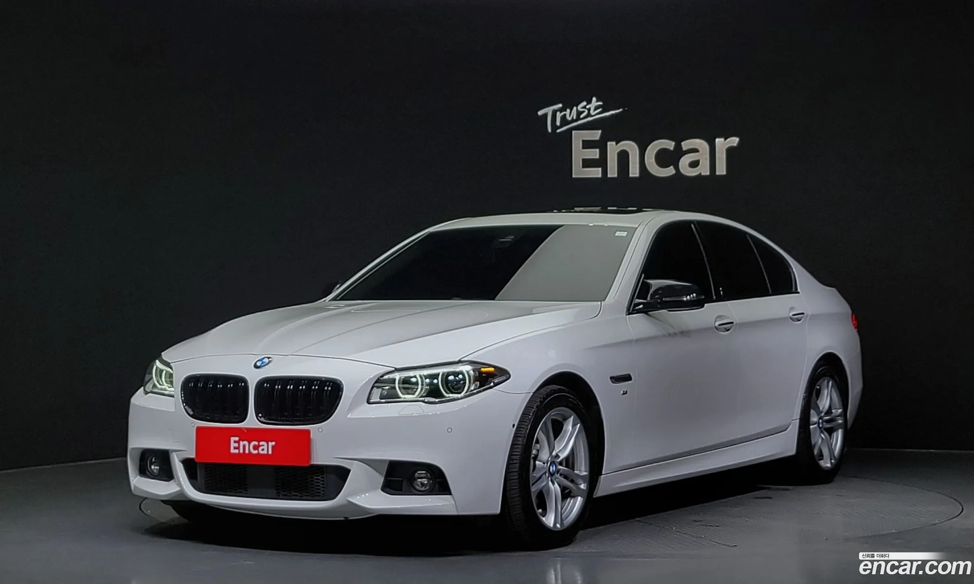 BMW 5Er 520D xDrive M Aerodynamics 2016 - фотография 17940114