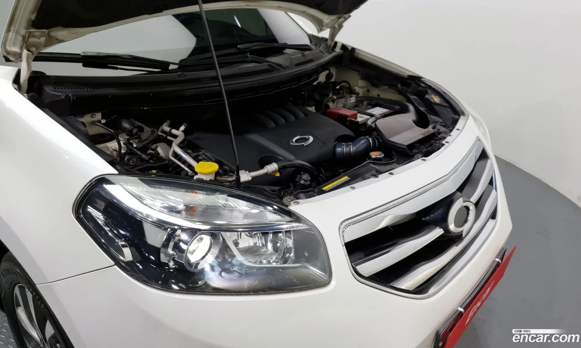 Renault Samsung Qm5 Qm5 Diesel 2Wd Re 2012 - фотография 2399946