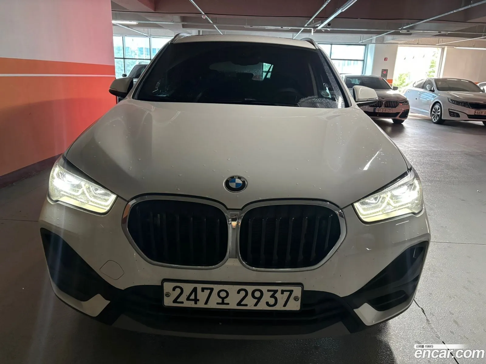 BMW X1 Ii F48 xDrive 20I Advantage 2020 - фотография 15692137