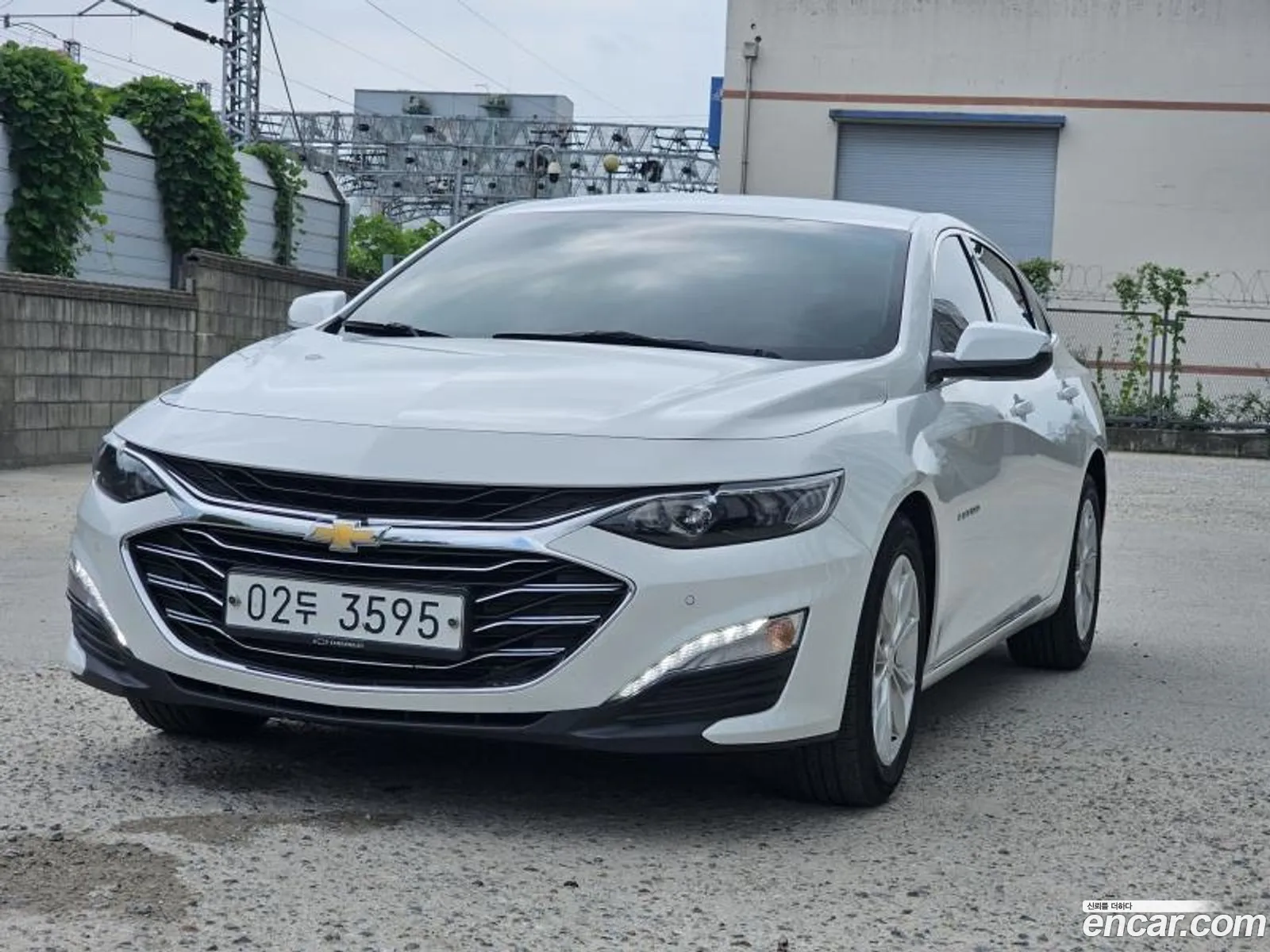 Chevrolet Malibu Ix 13 Turbo Ls 2019 - фотография 8249490