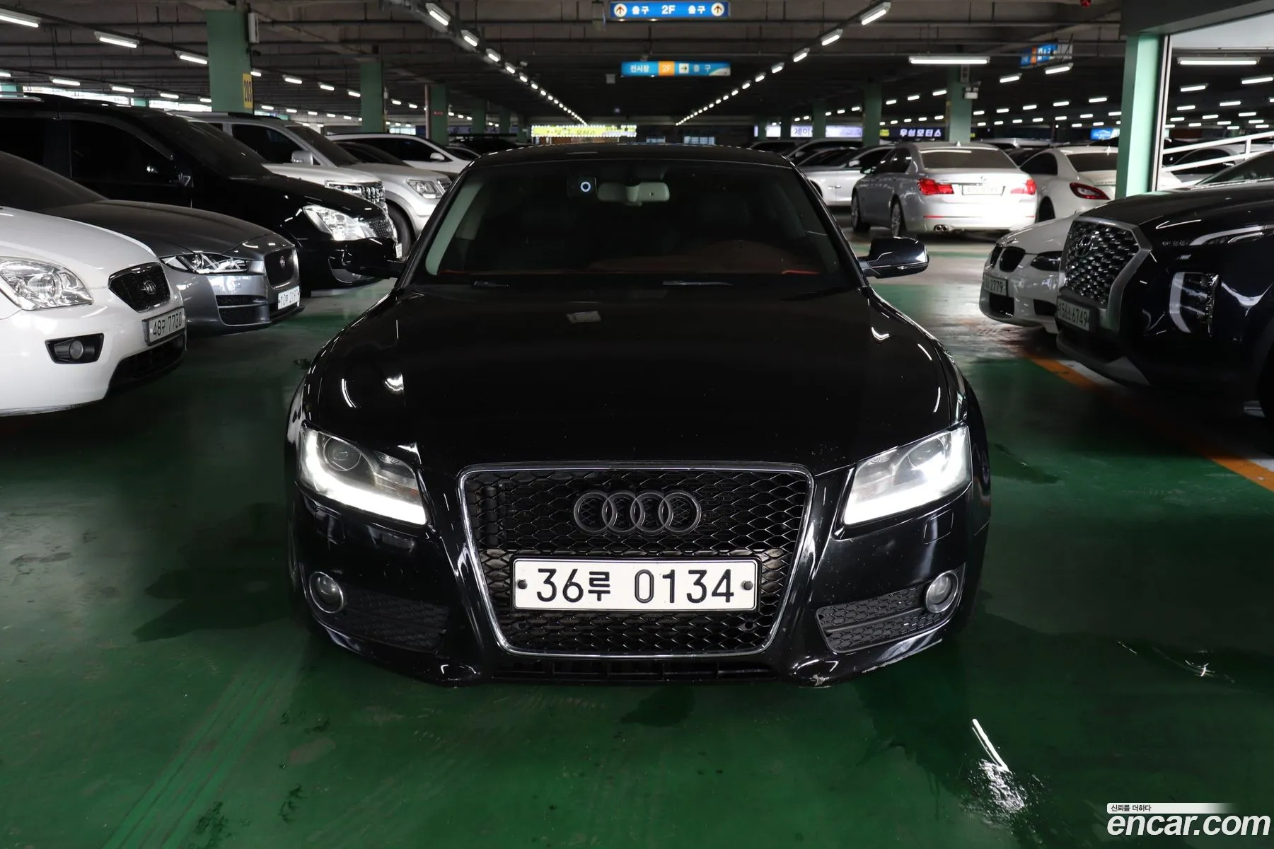 Audi A5 I 8T 20 Tfsi Quattro 2010 - фотография 8371010