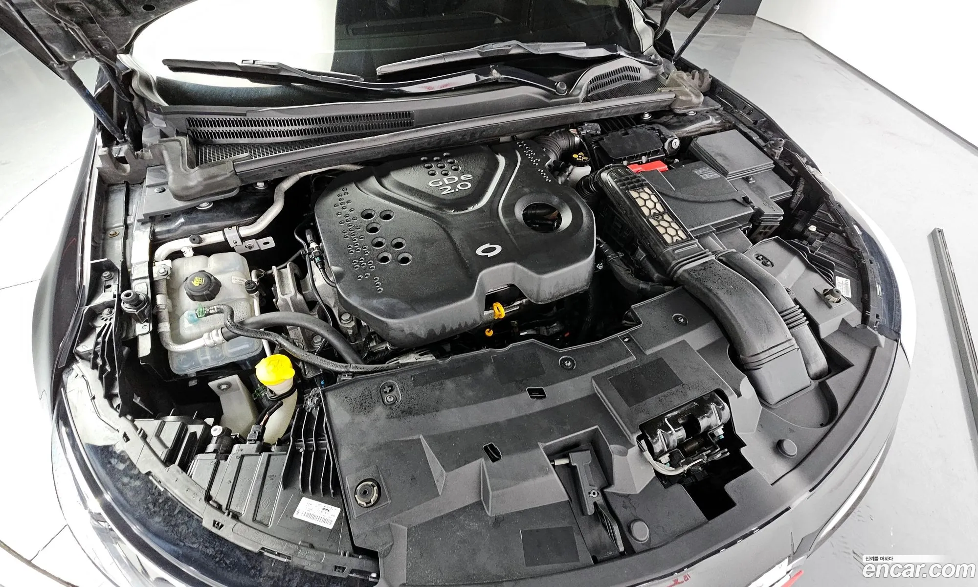 Renault Samsung Sm6 20Gdere 2016 - фотография 2580864