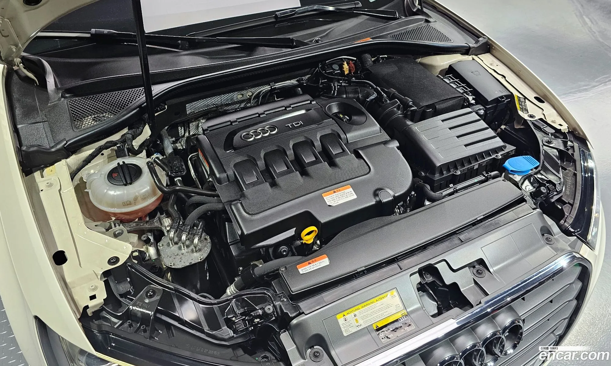 Audi A3 Iii 8V 35 Tdi Dynamic Sportback 2015 - фотография 8464359